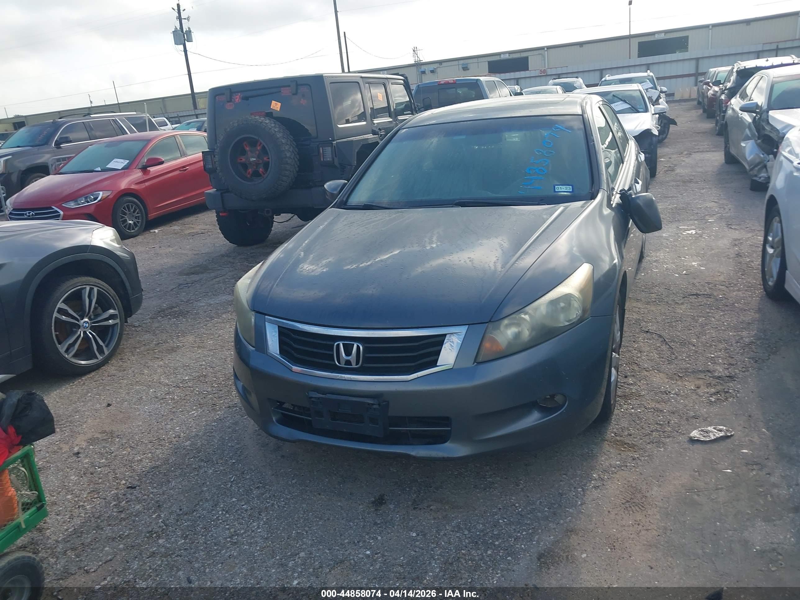 HONDA ACCORD image 6