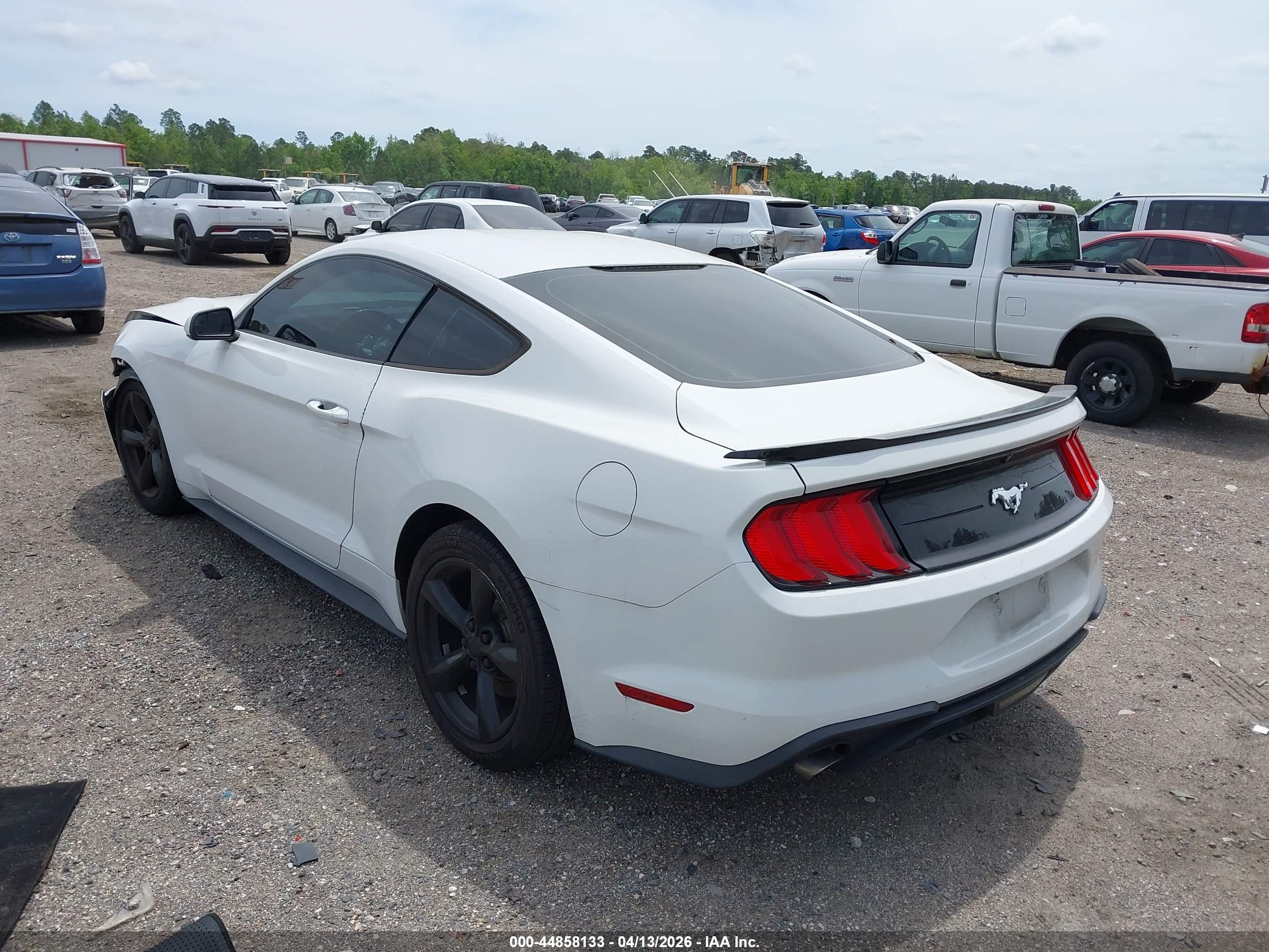 FORD MUSTANG image 3
