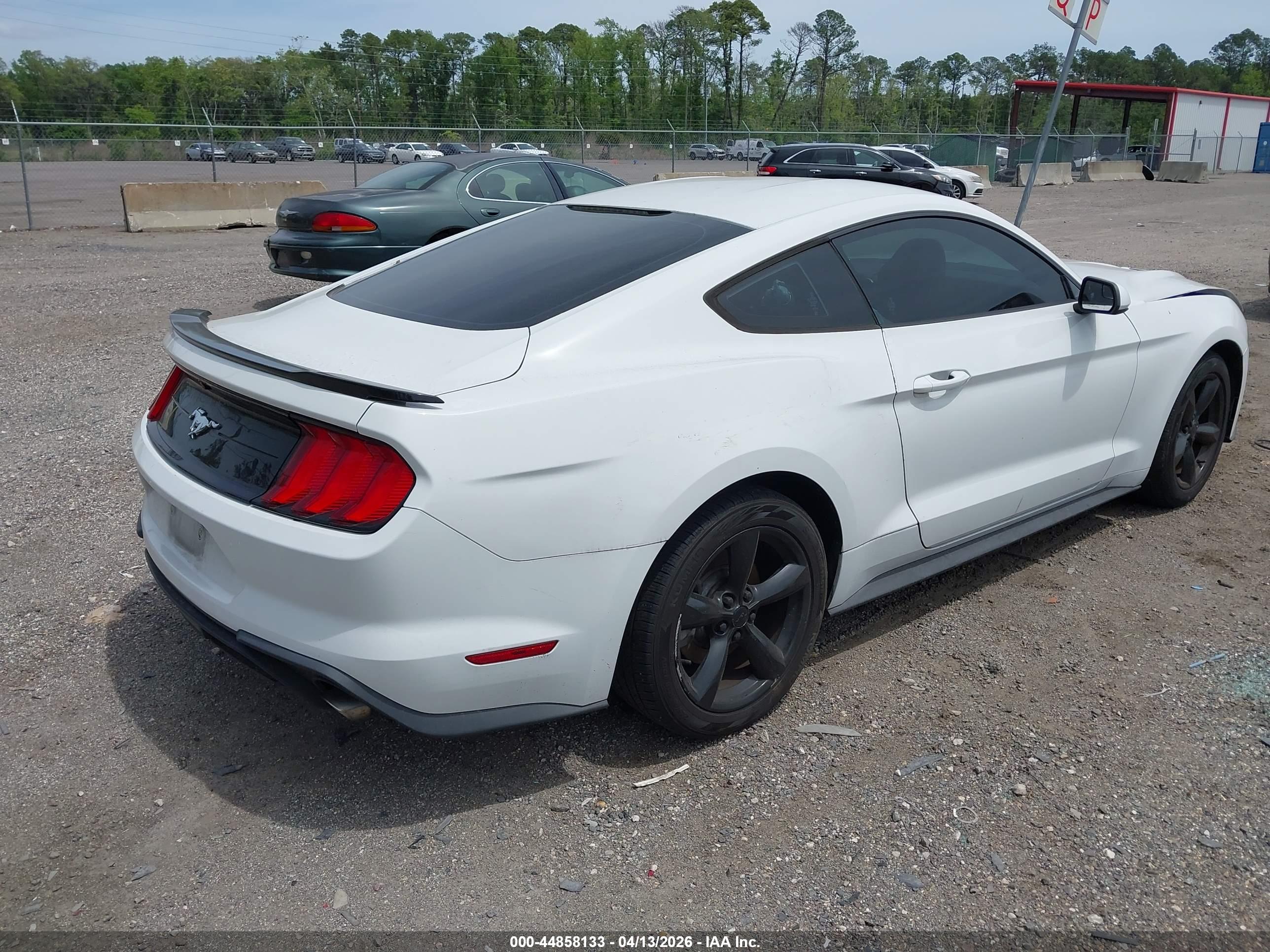 FORD MUSTANG image 4