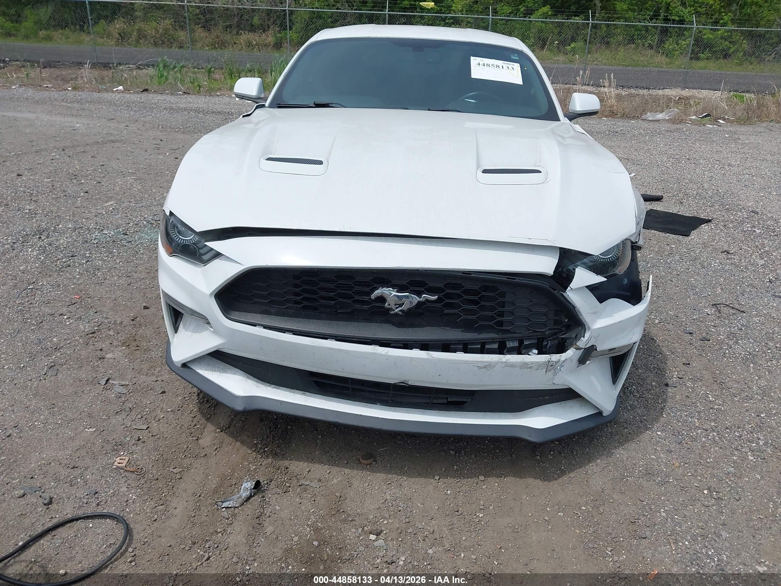 FORD MUSTANG image 6