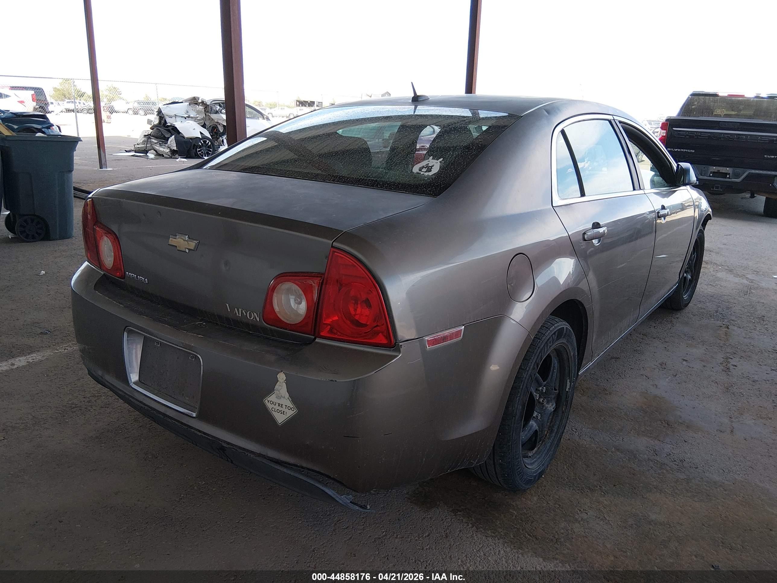 CHEVROLET MALIBU image 4