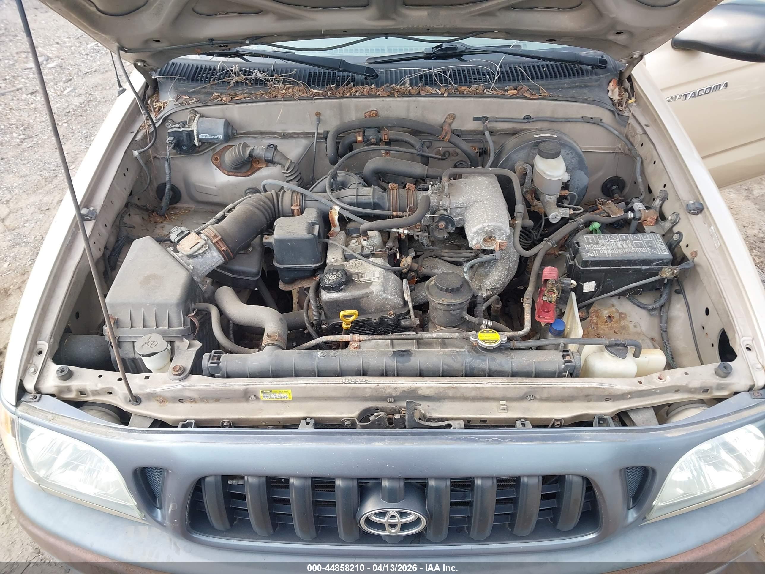TOYOTA TACOMA image 10