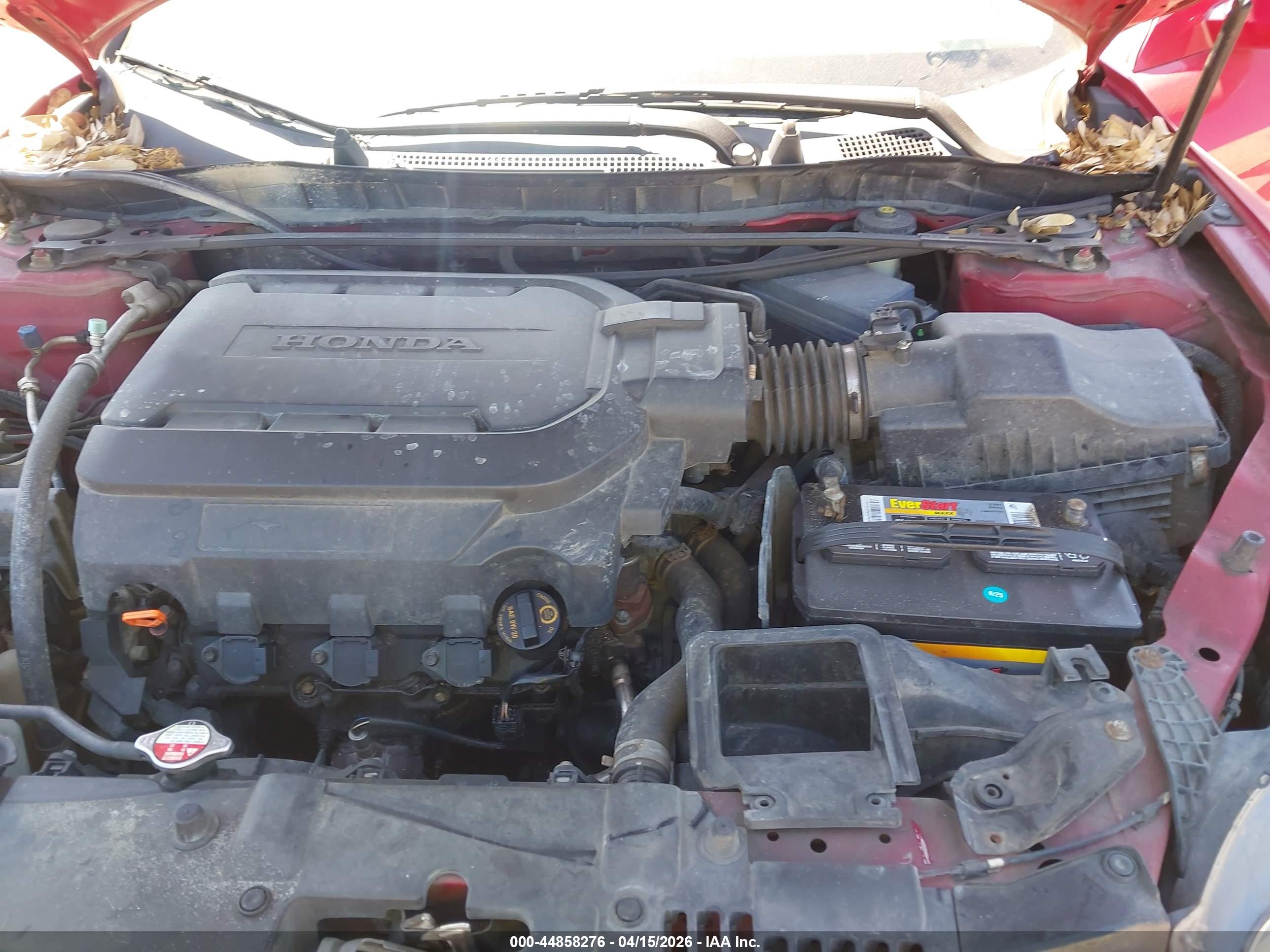 HONDA ACCORD image 10