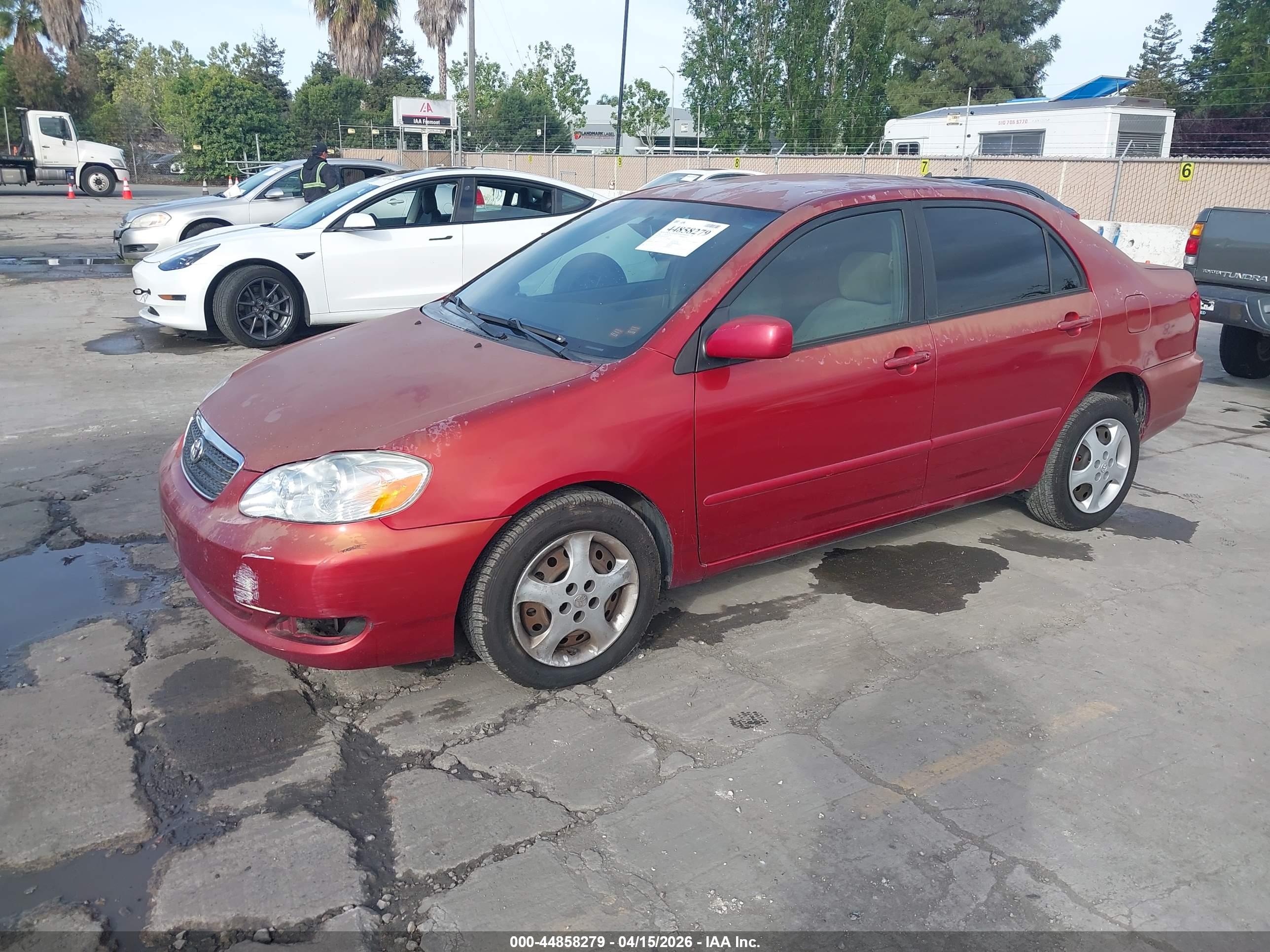 TOYOTA COROLLA image 2
