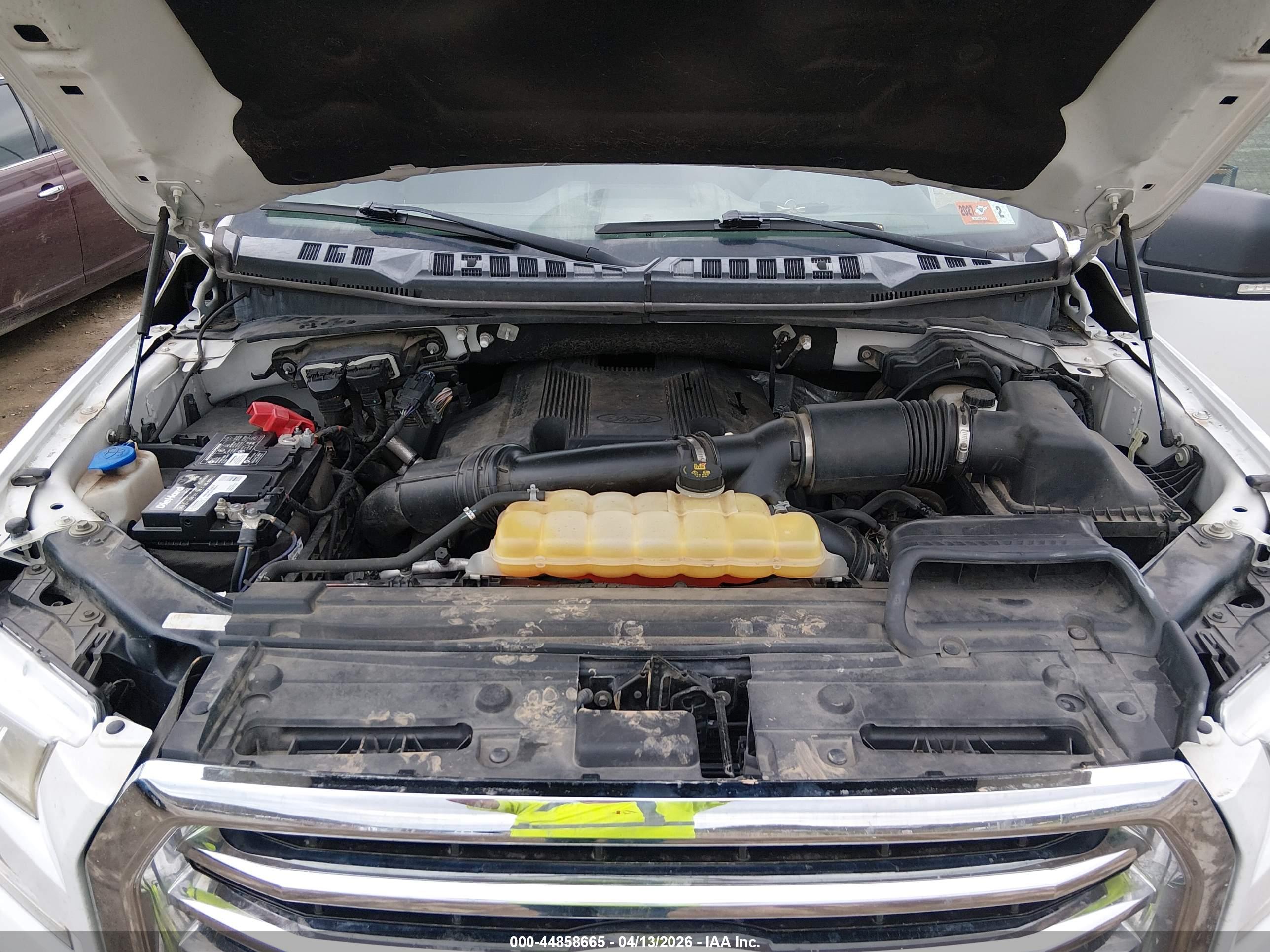 FORD F-150 image 10