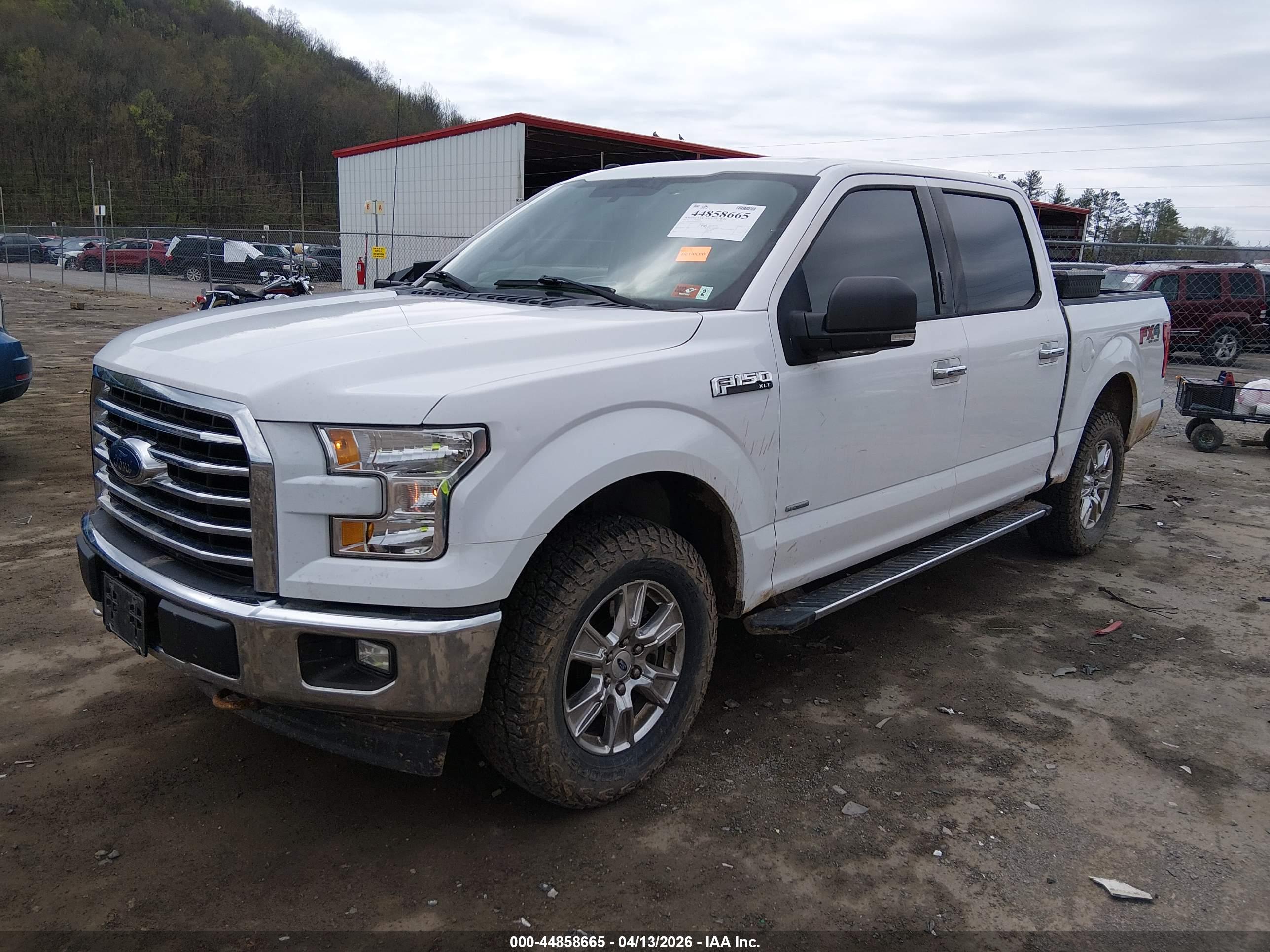 FORD F-150 image 2