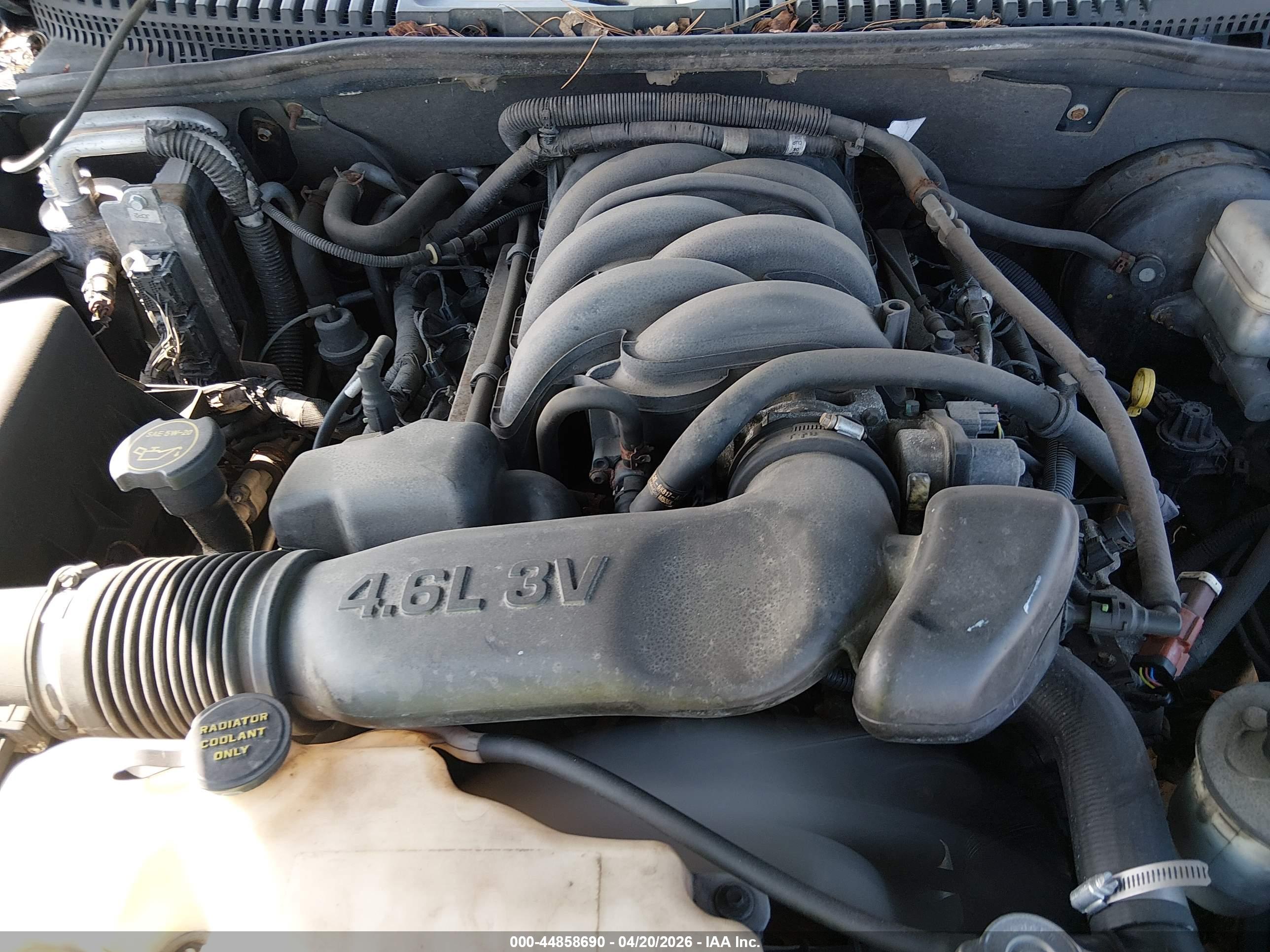 FORD EXPLORER image 10