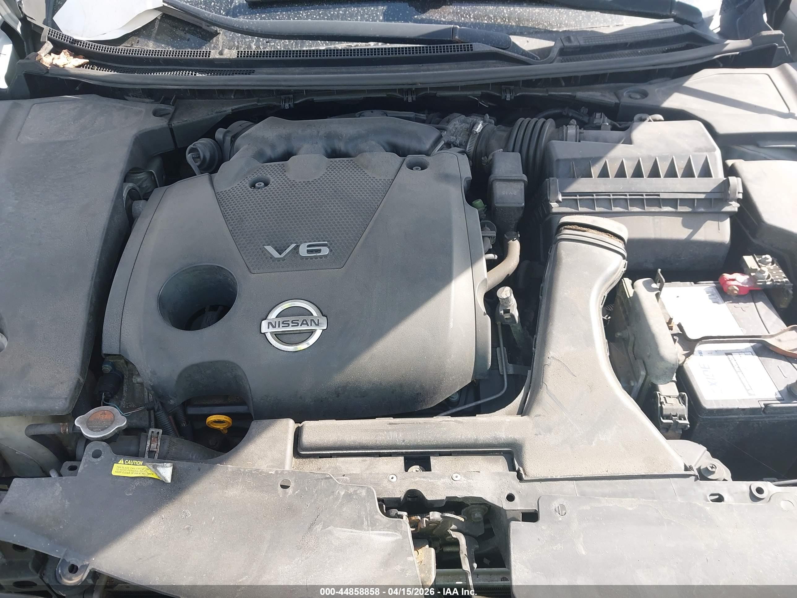 NISSAN MAXIMA image 10