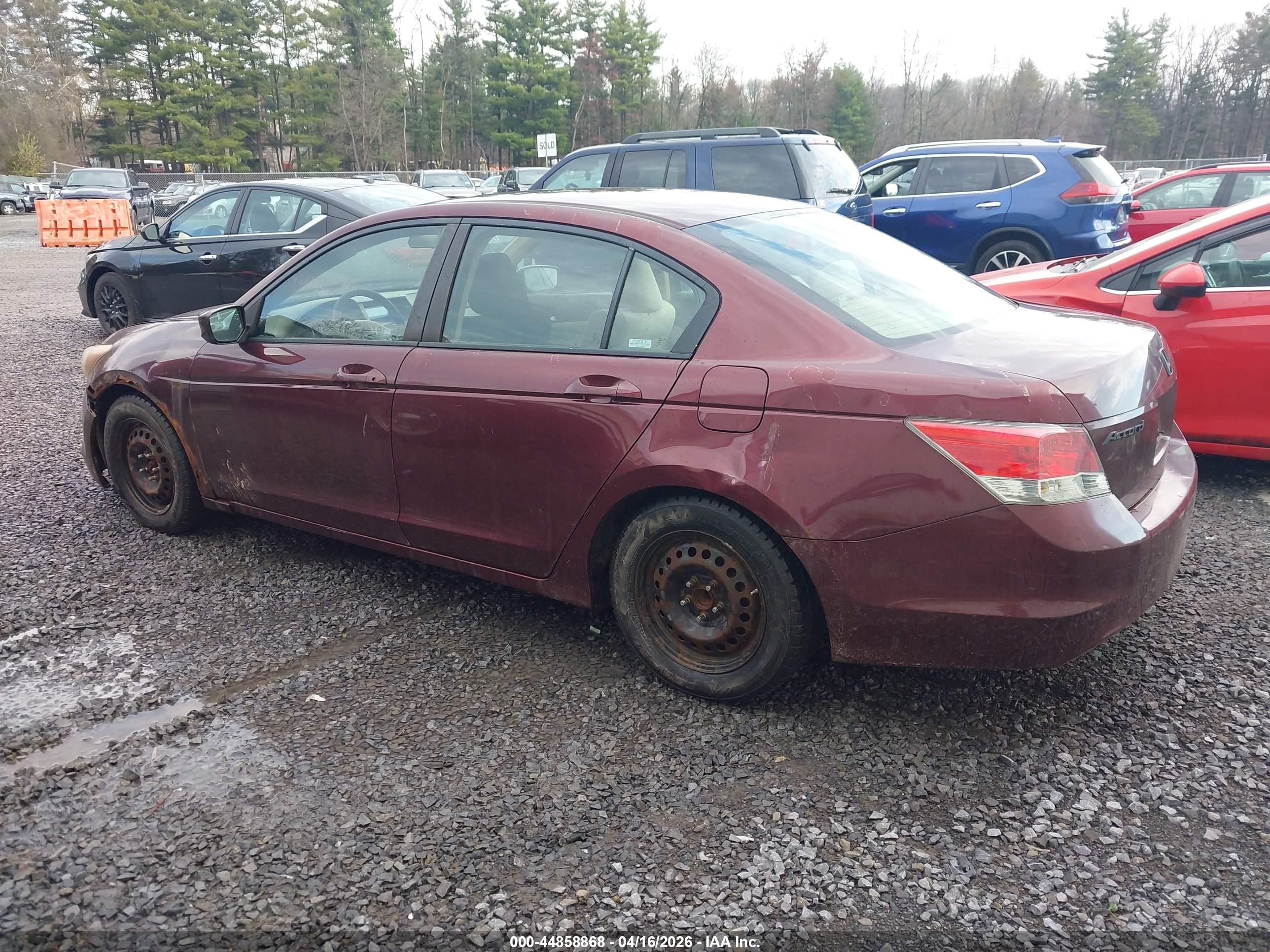HONDA ACCORD image 3
