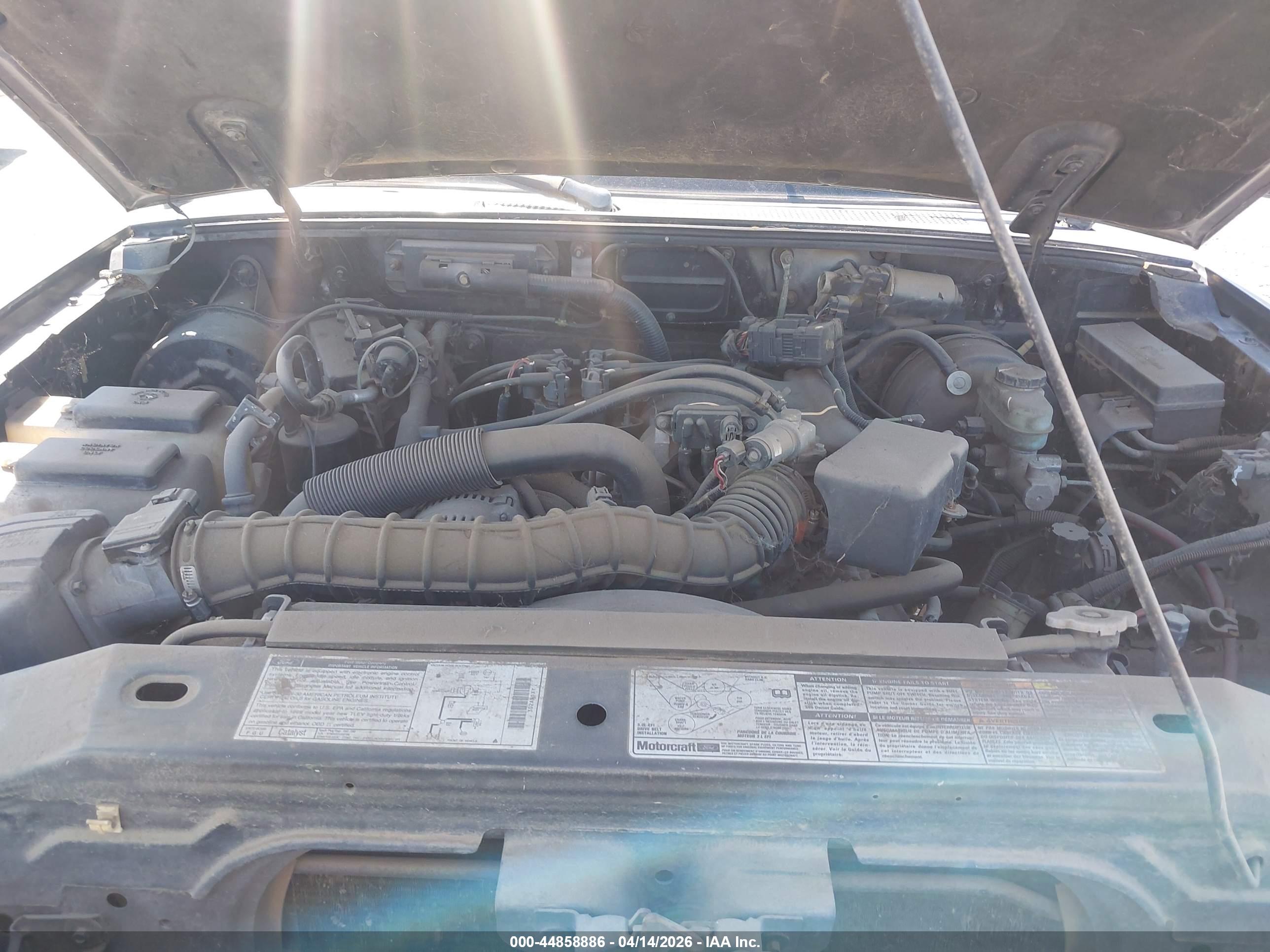 FORD RANGER image 10