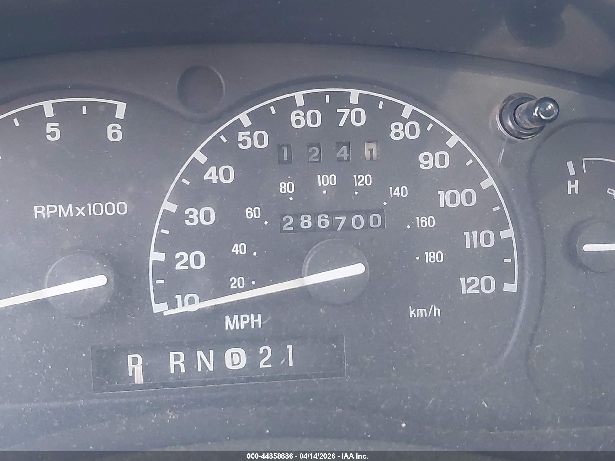 FORD RANGER image 7