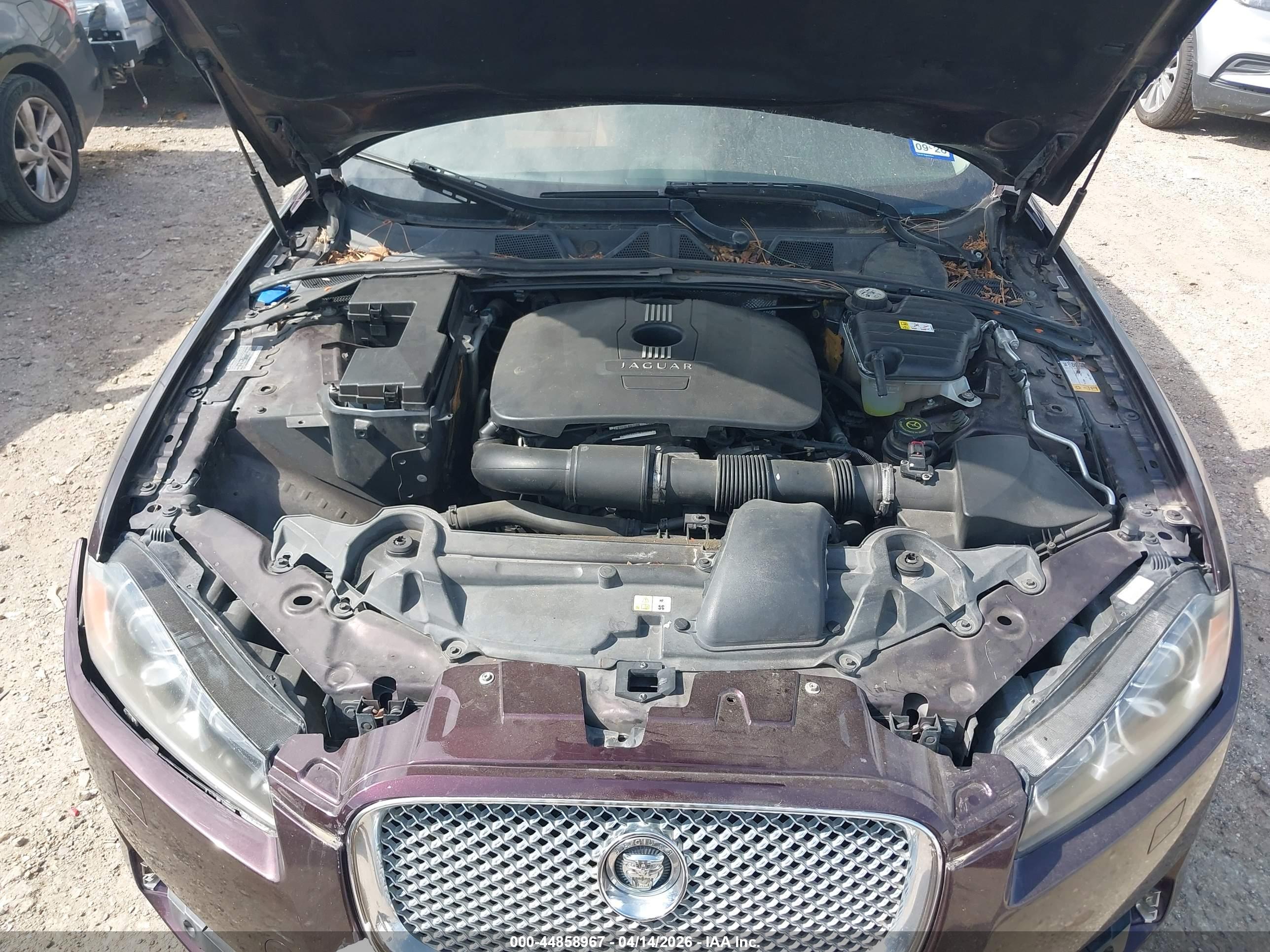 JAGUAR XF image 10