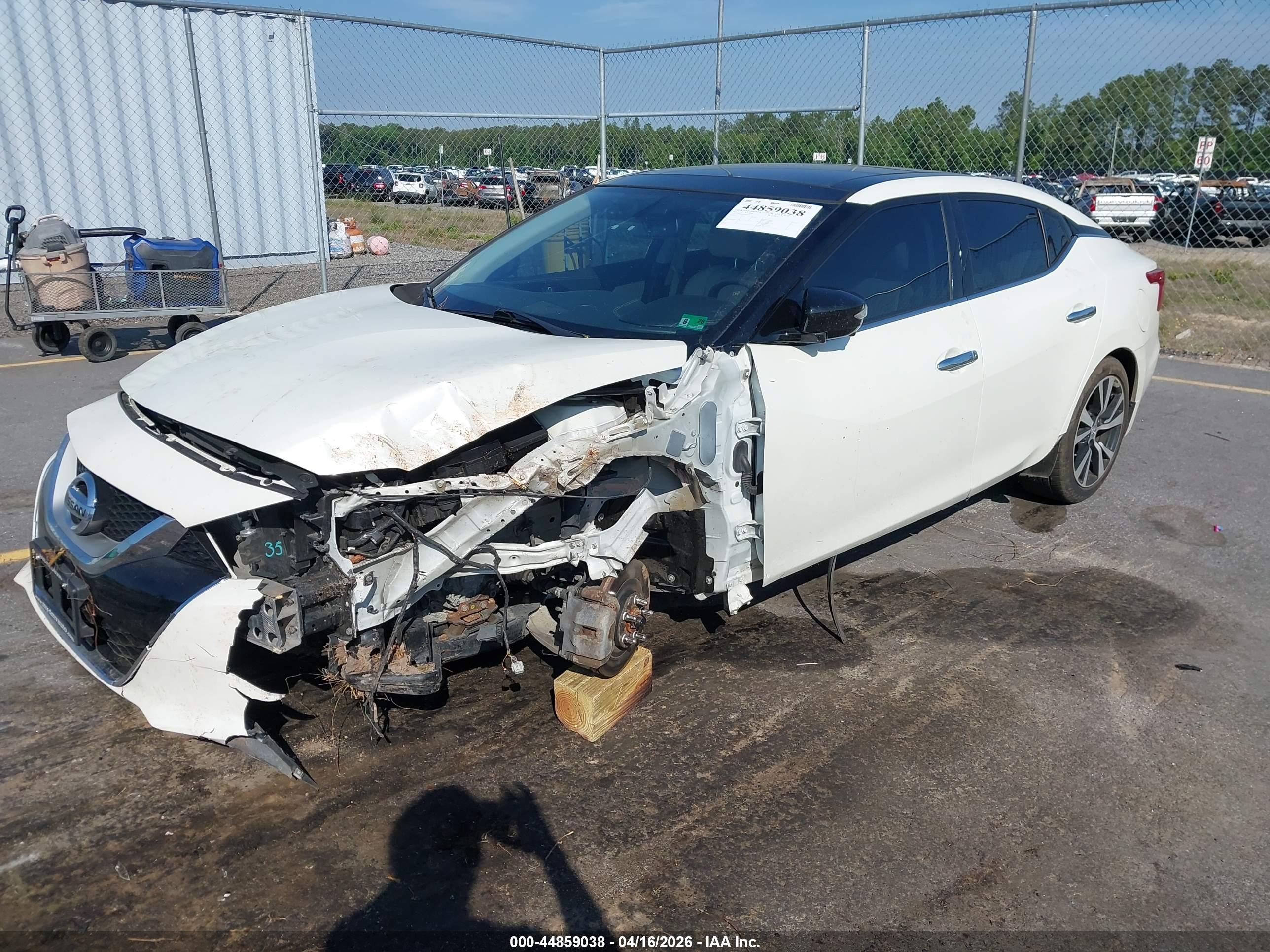 NISSAN MAXIMA image 2