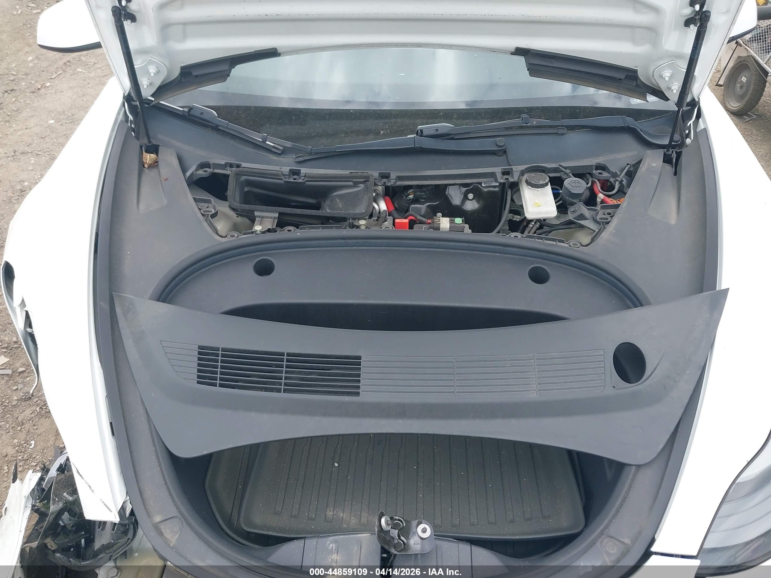 TESLA MODEL image 10