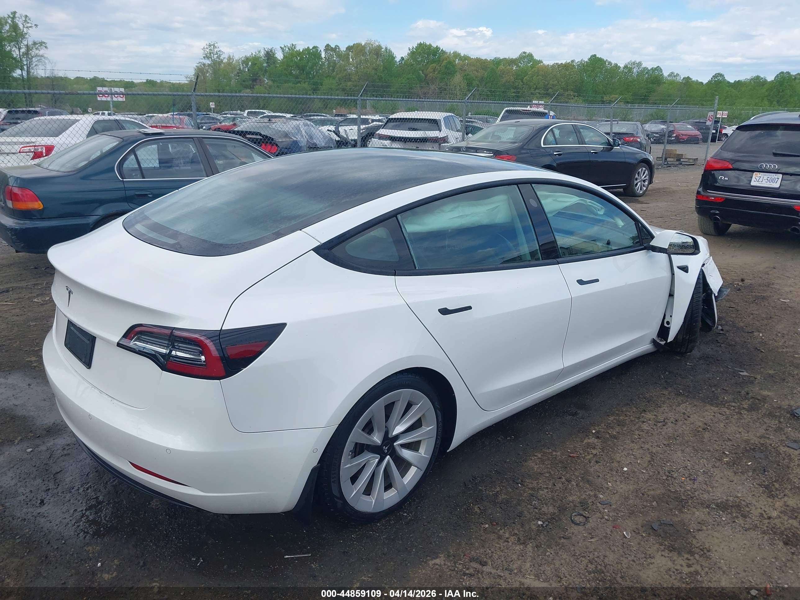 TESLA MODEL image 4