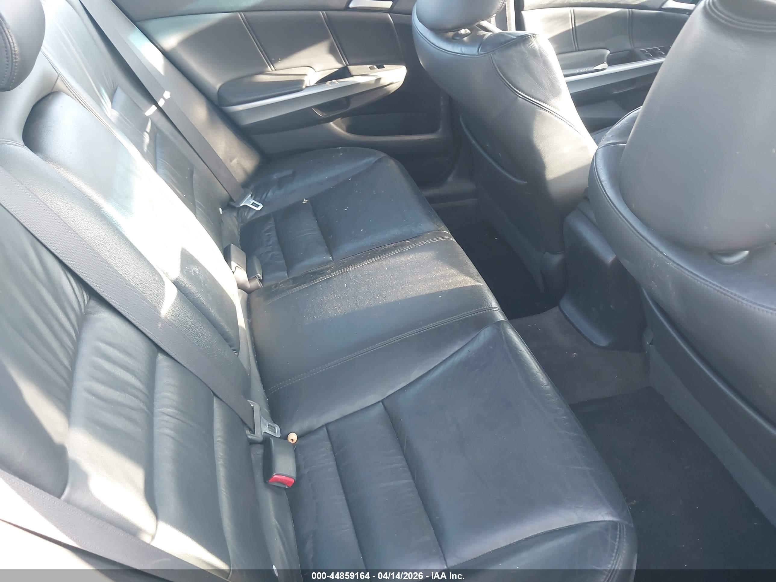 HONDA ACCORD image 8