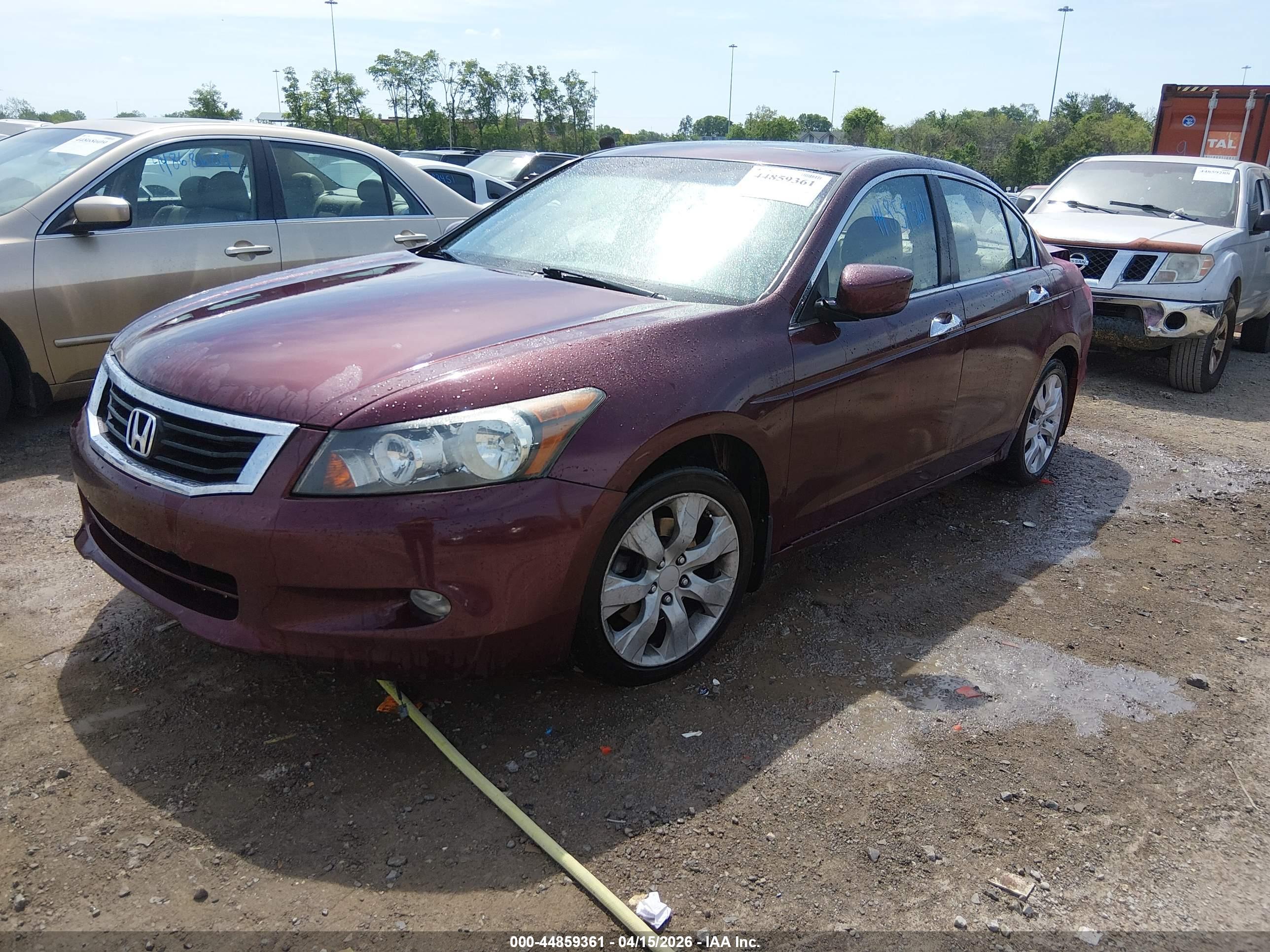 HONDA ACCORD image 2
