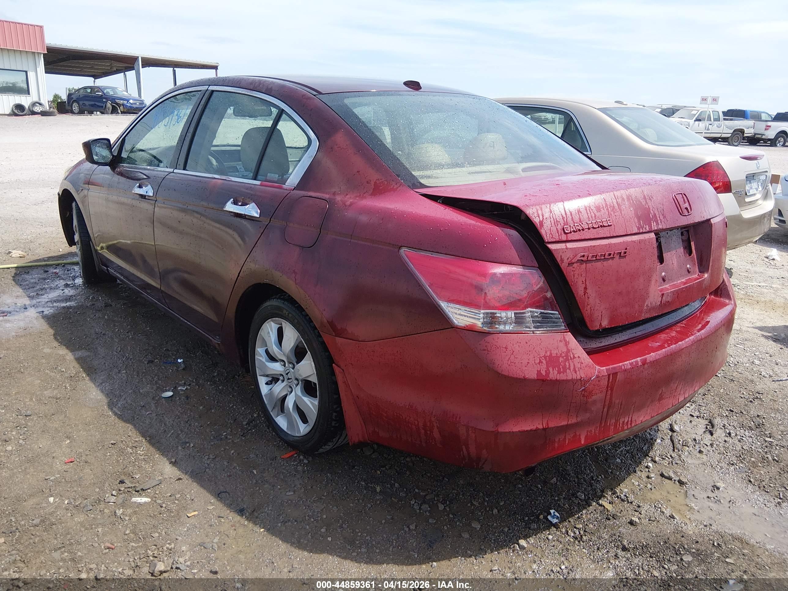 HONDA ACCORD image 3