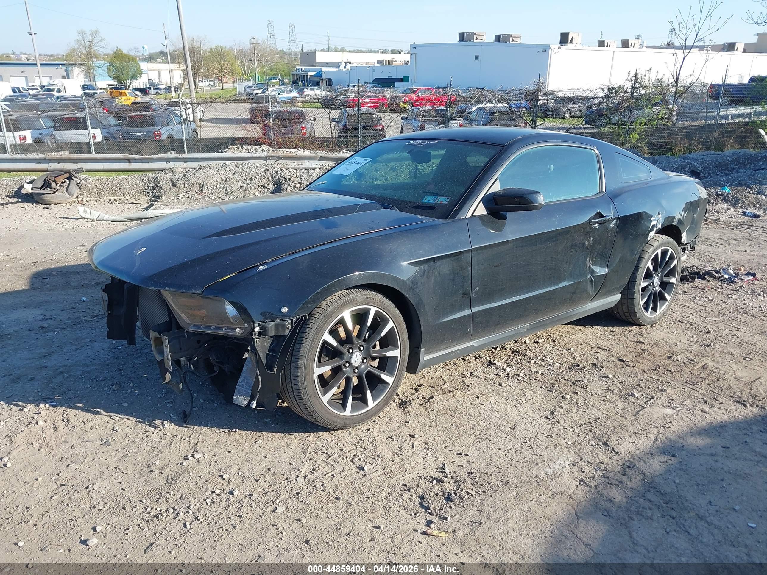 FORD MUSTANG image 2