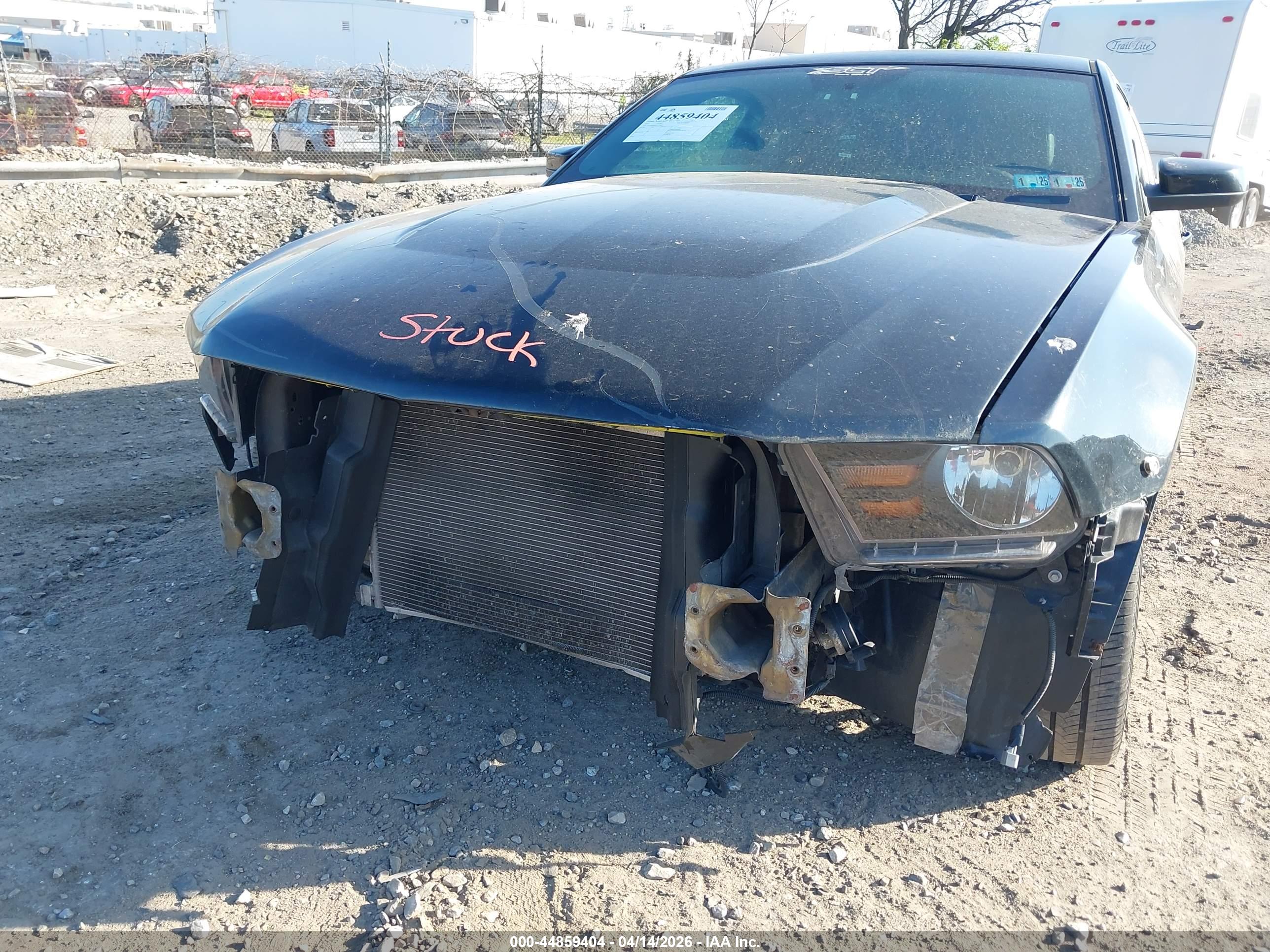 FORD MUSTANG image 6