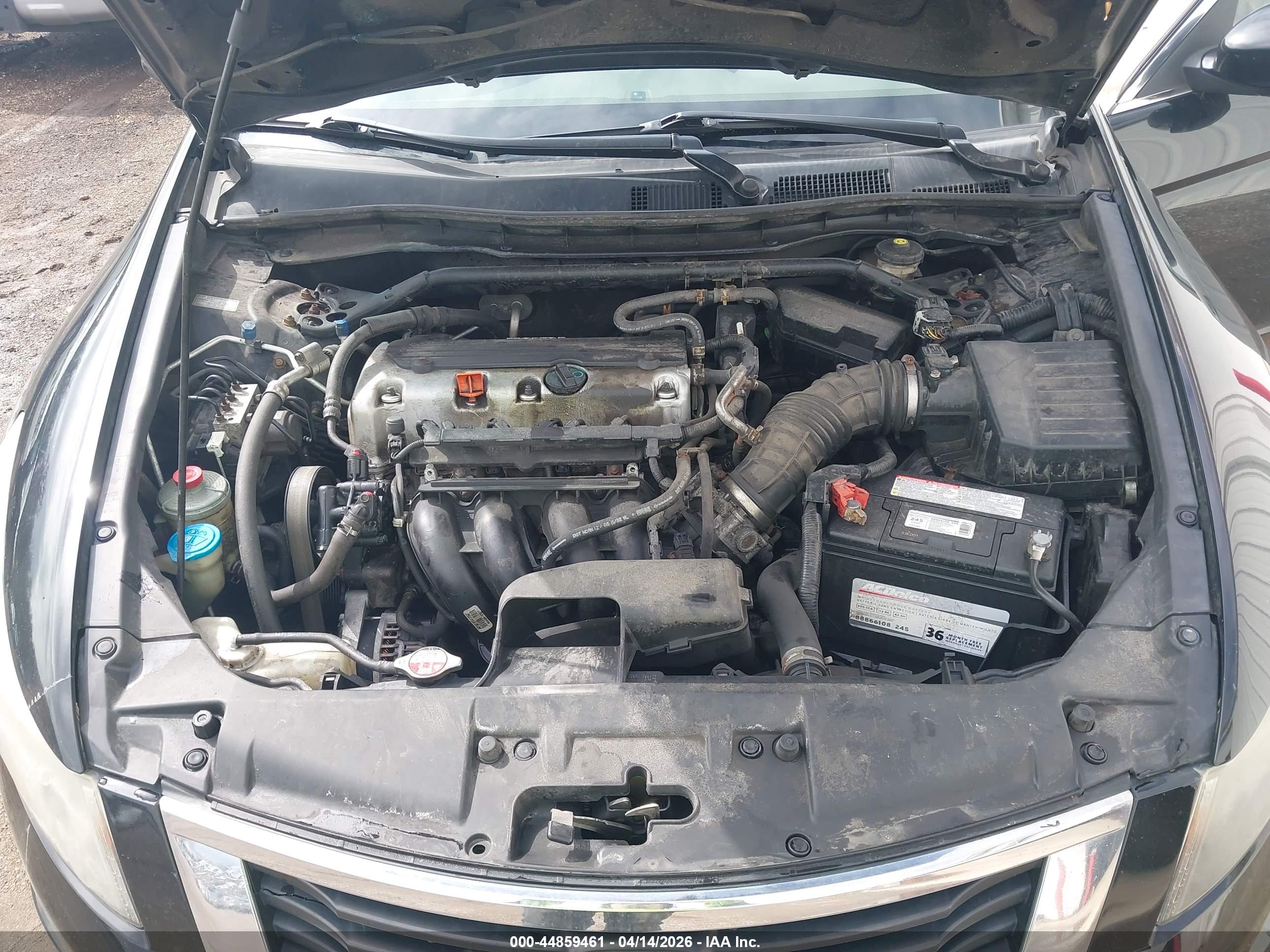 HONDA ACCORD image 10