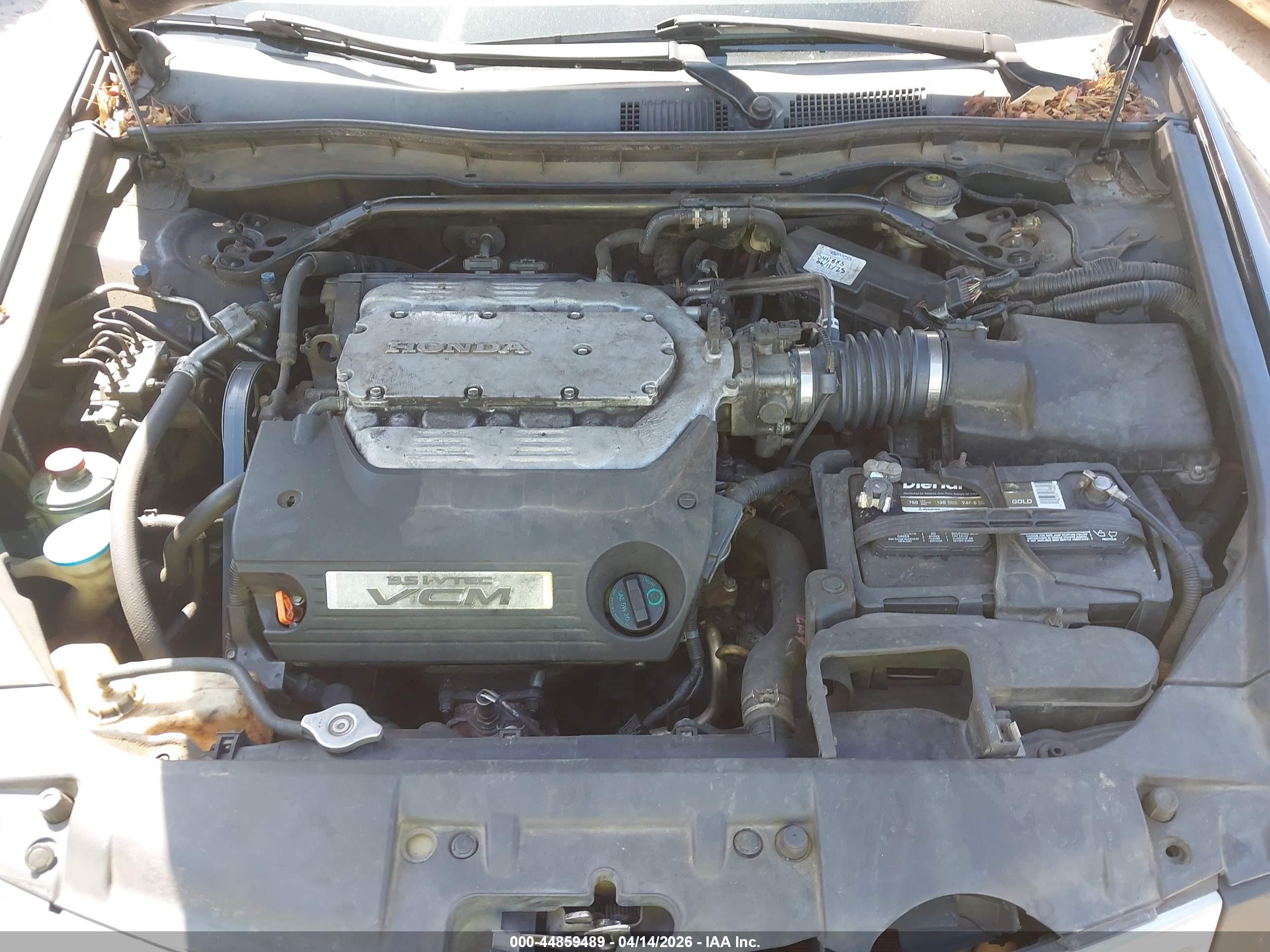 HONDA ACCORD image 10
