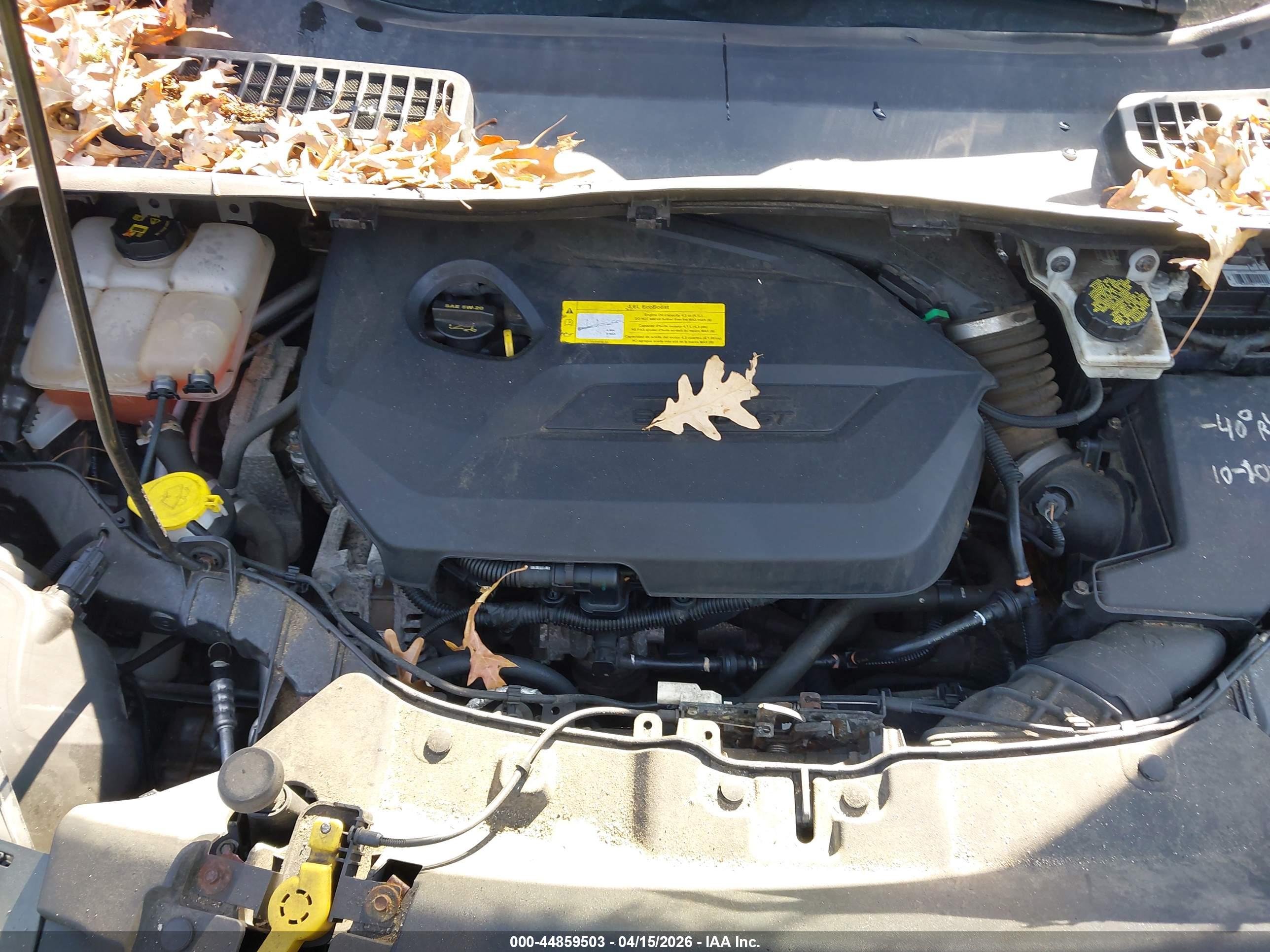FORD ESCAPE image 10