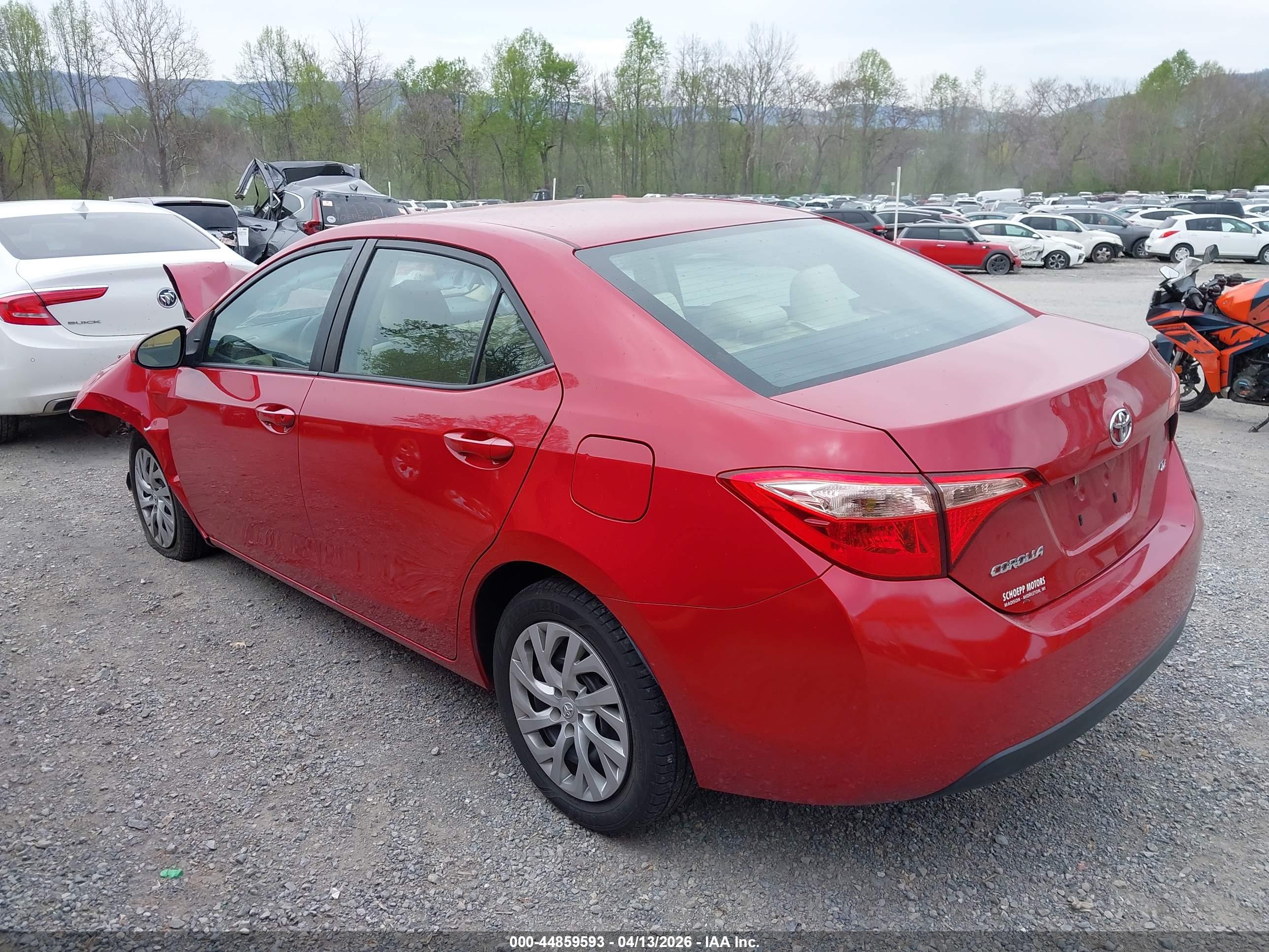 TOYOTA COROLLA image 3