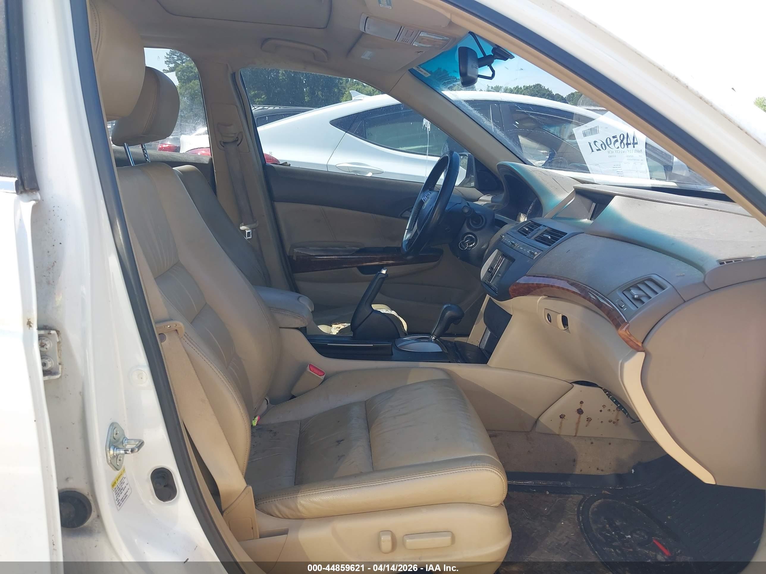 HONDA ACCORD image 5