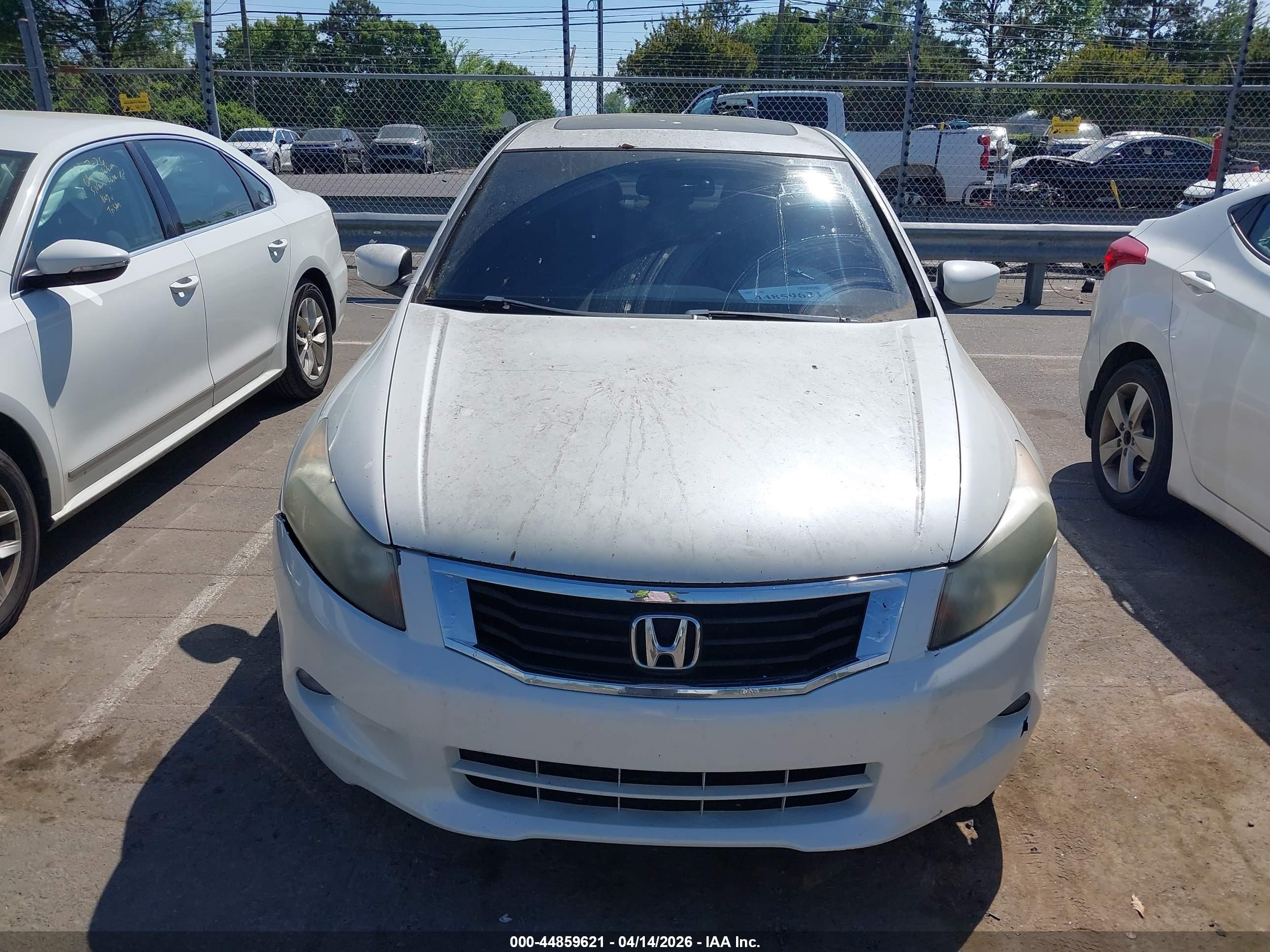HONDA ACCORD image 6