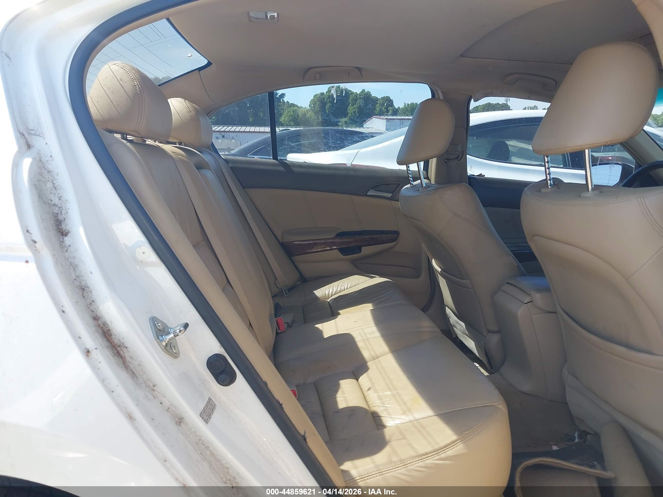 HONDA ACCORD image 8