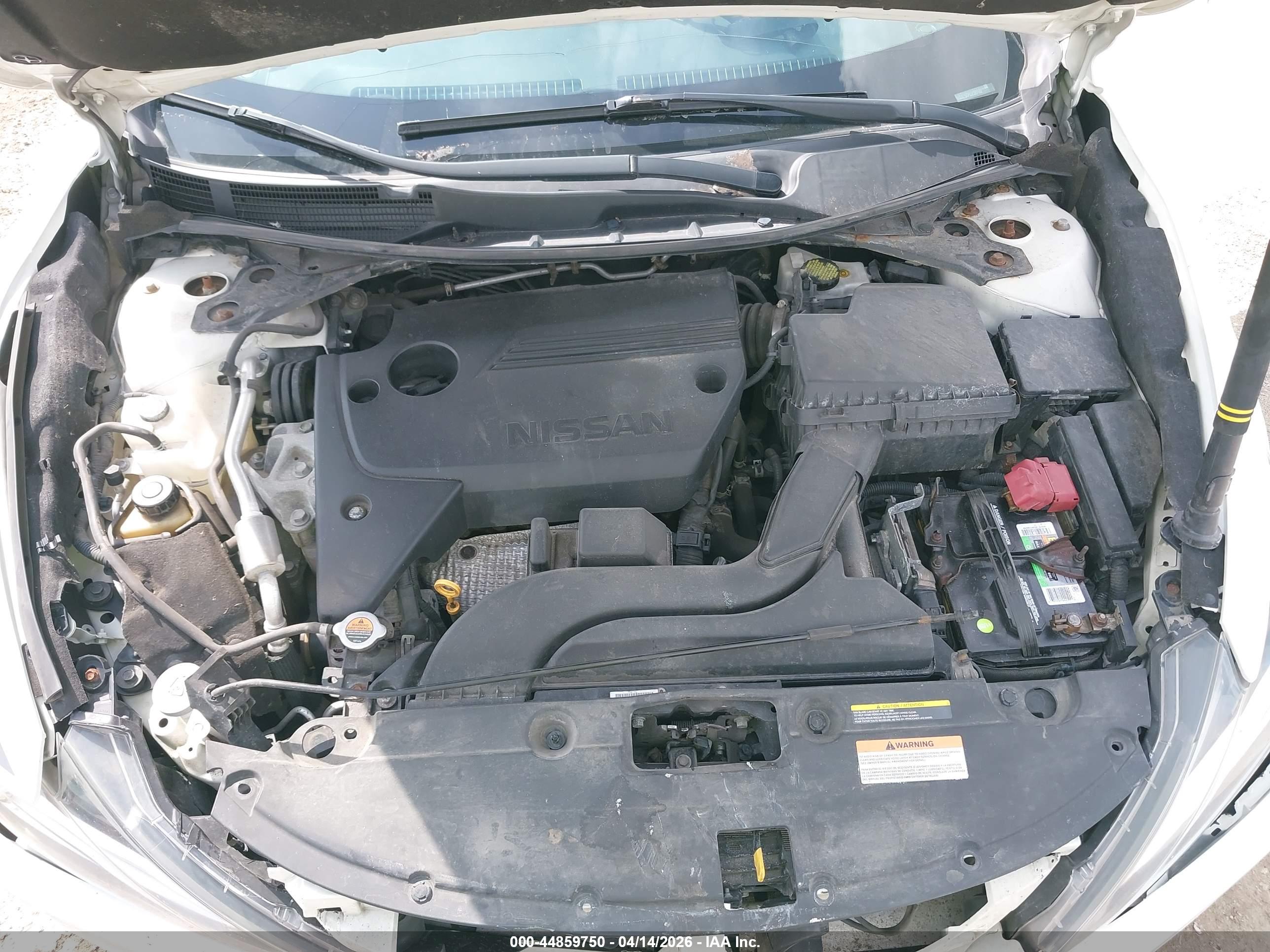 NISSAN ALTIMA image 10