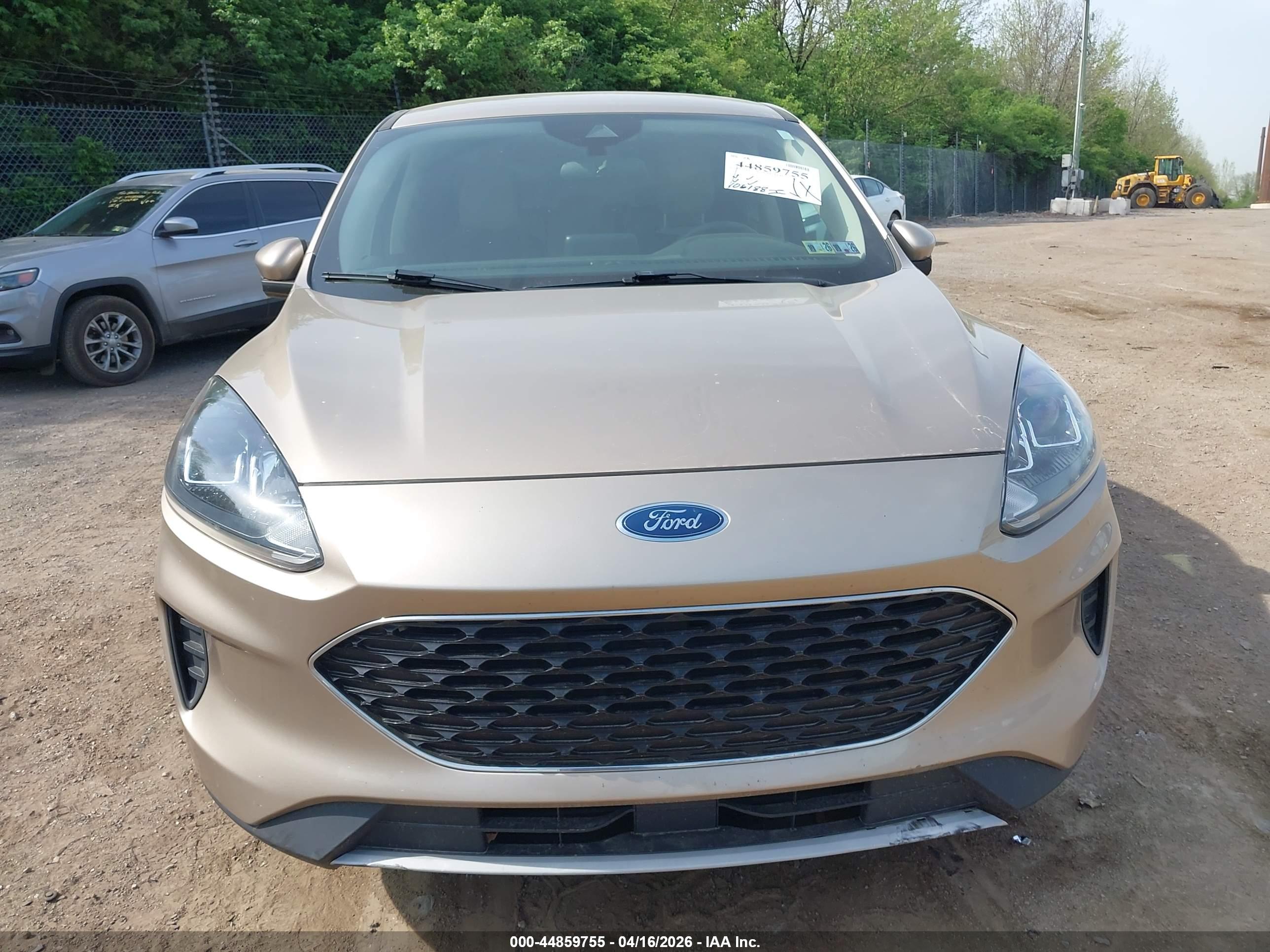 FORD ESCAPE image 6