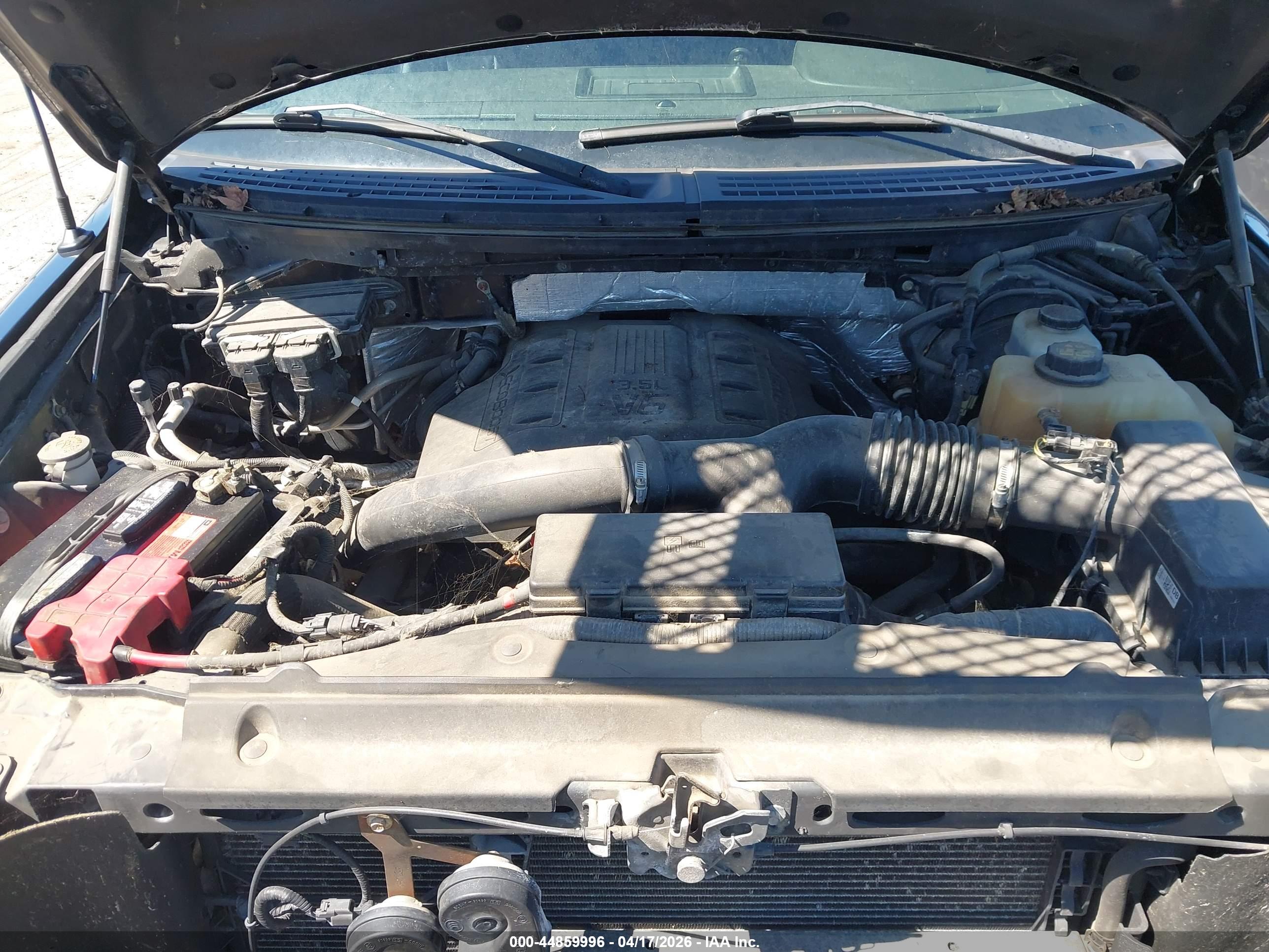 FORD F-150 image 10