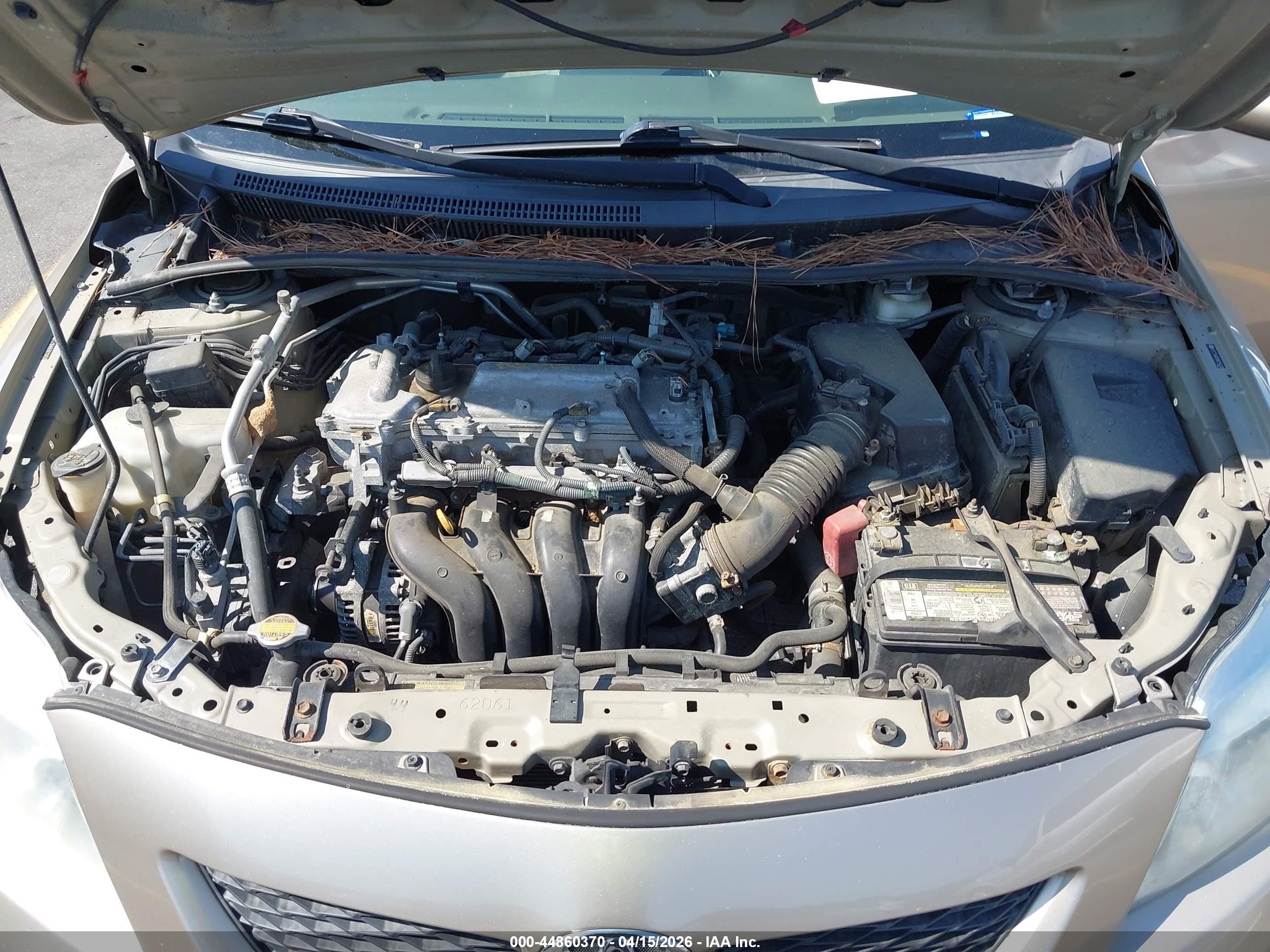 TOYOTA COROLLA image 10