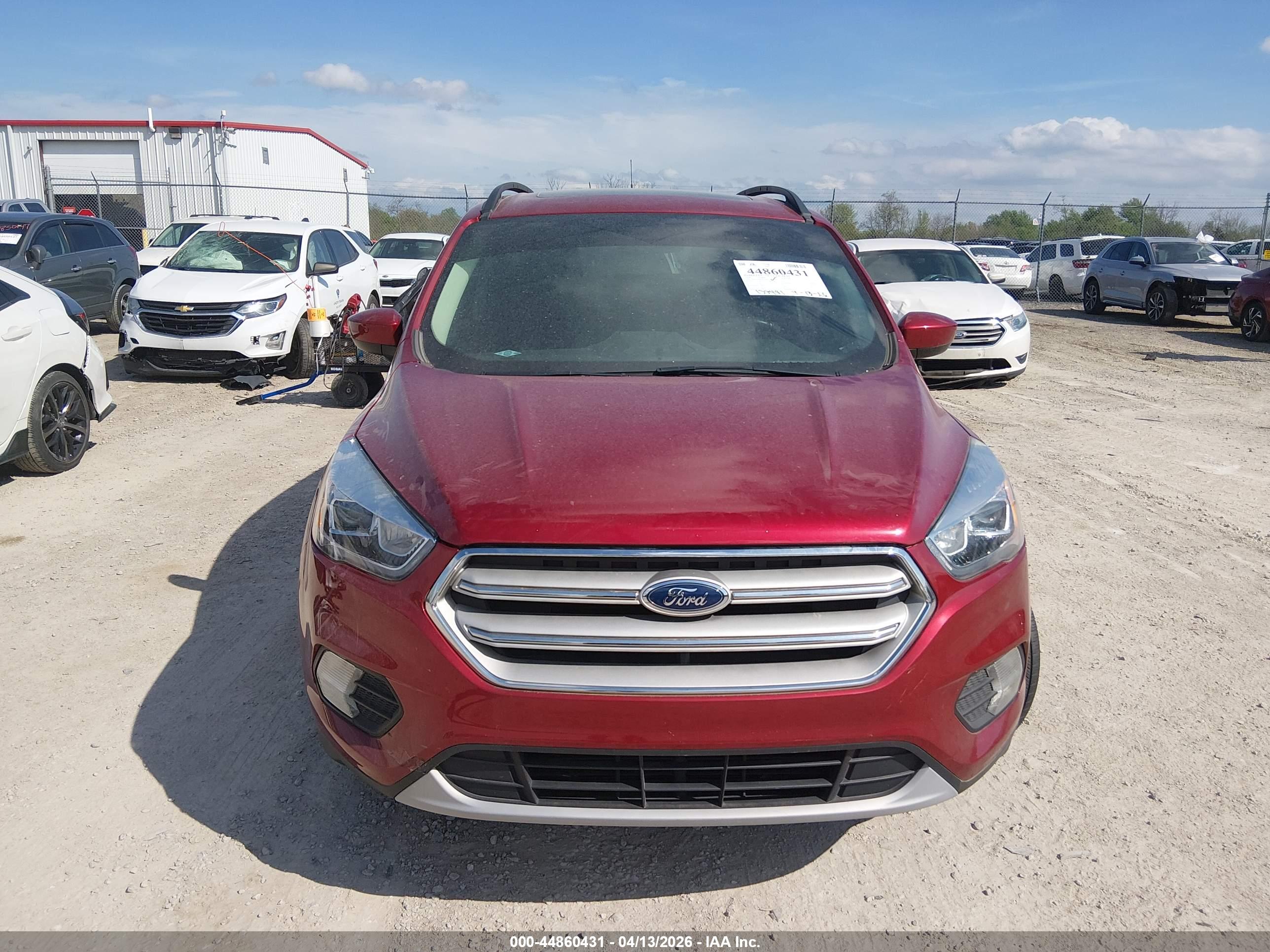 FORD ESCAPE image 6