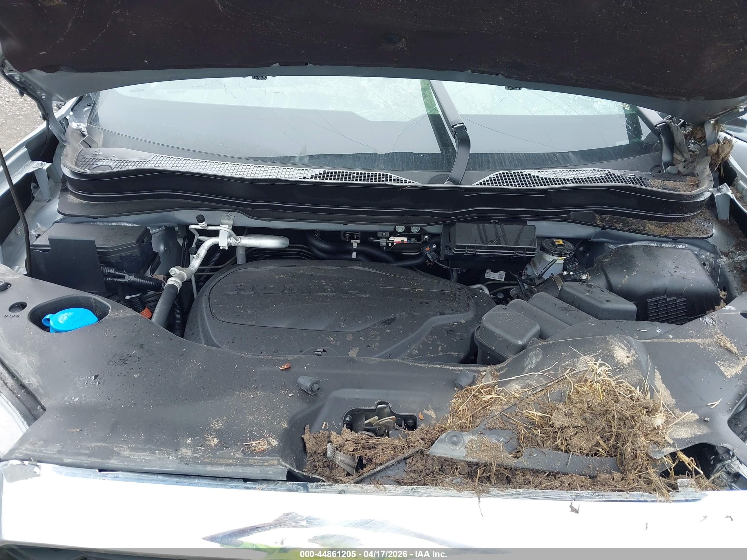 HONDA PASSPORT image 10