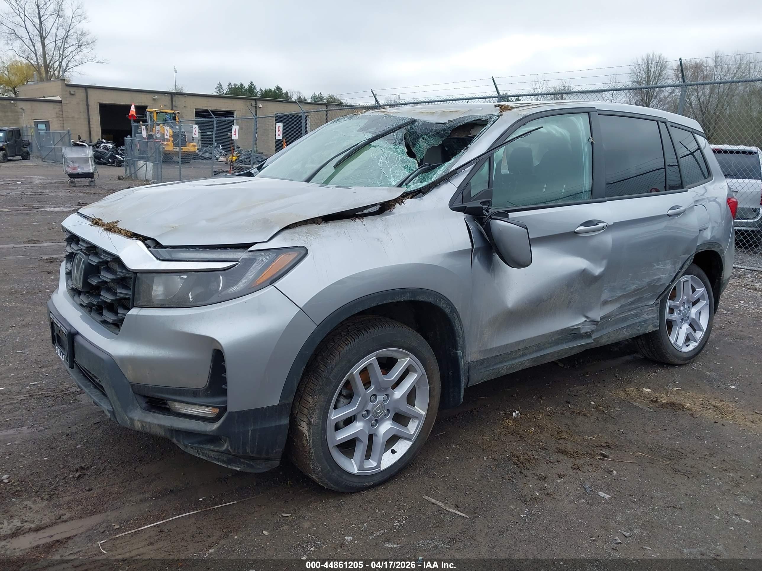 HONDA PASSPORT image 2