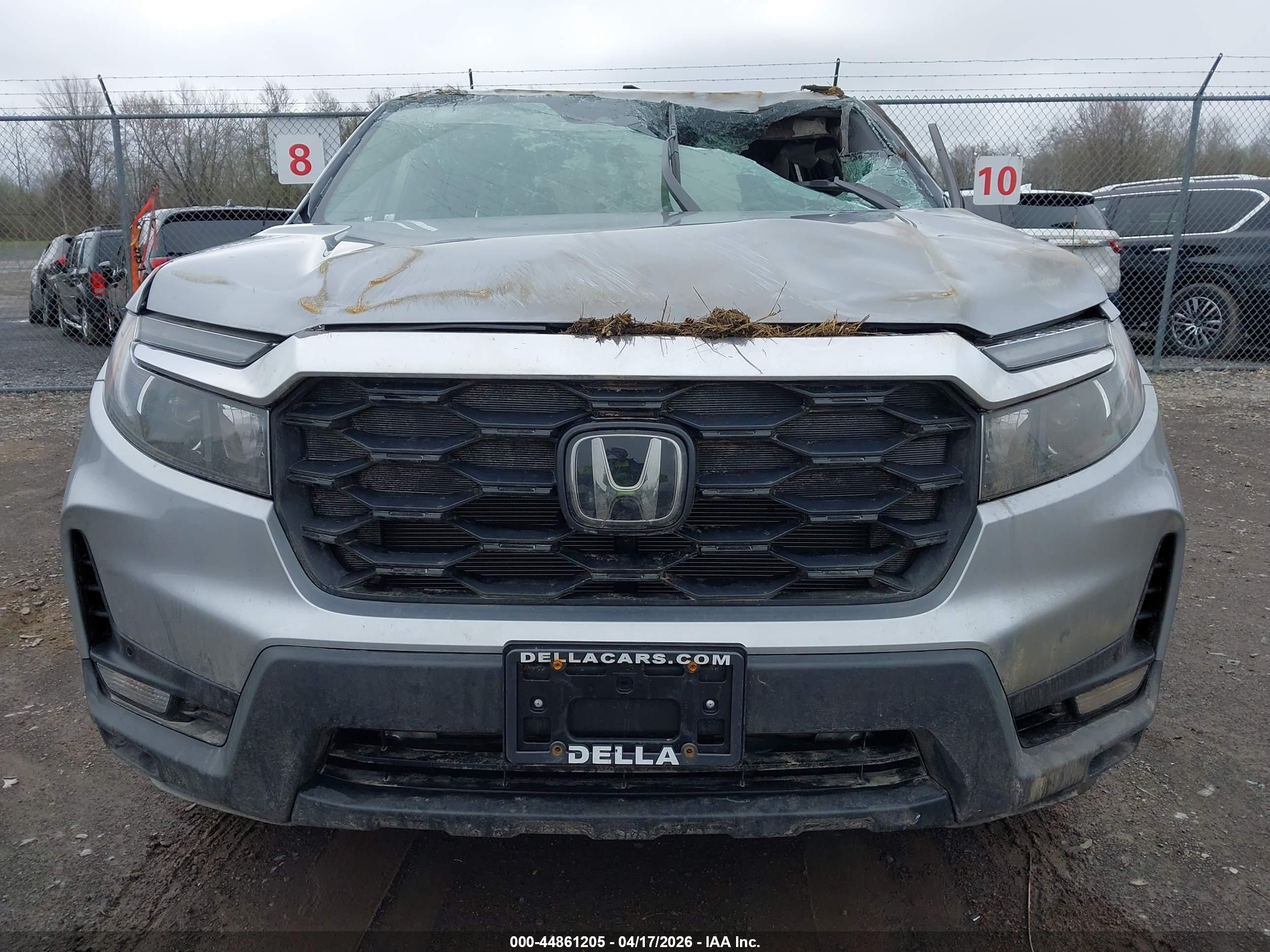 HONDA PASSPORT image 6