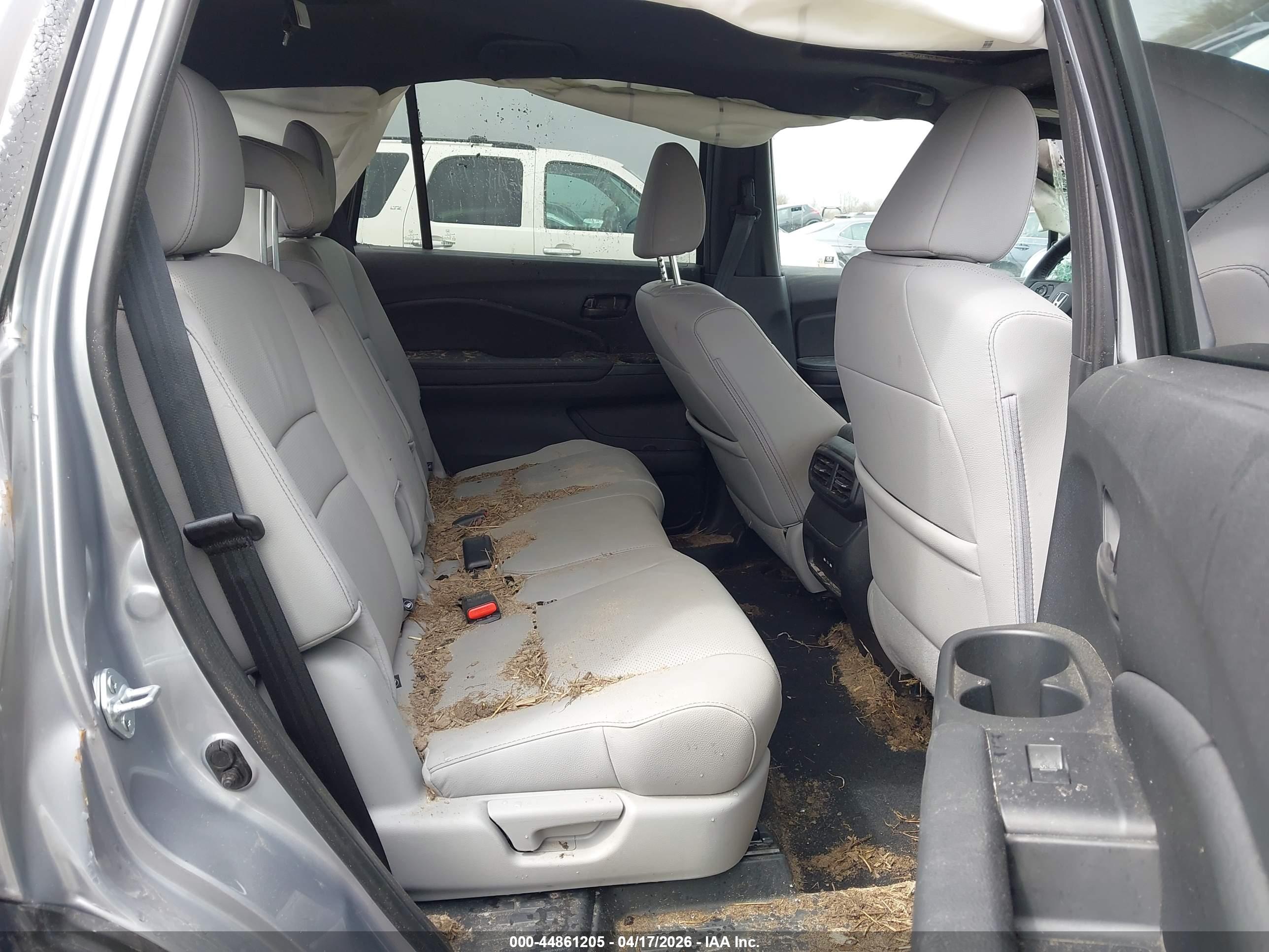HONDA PASSPORT image 8