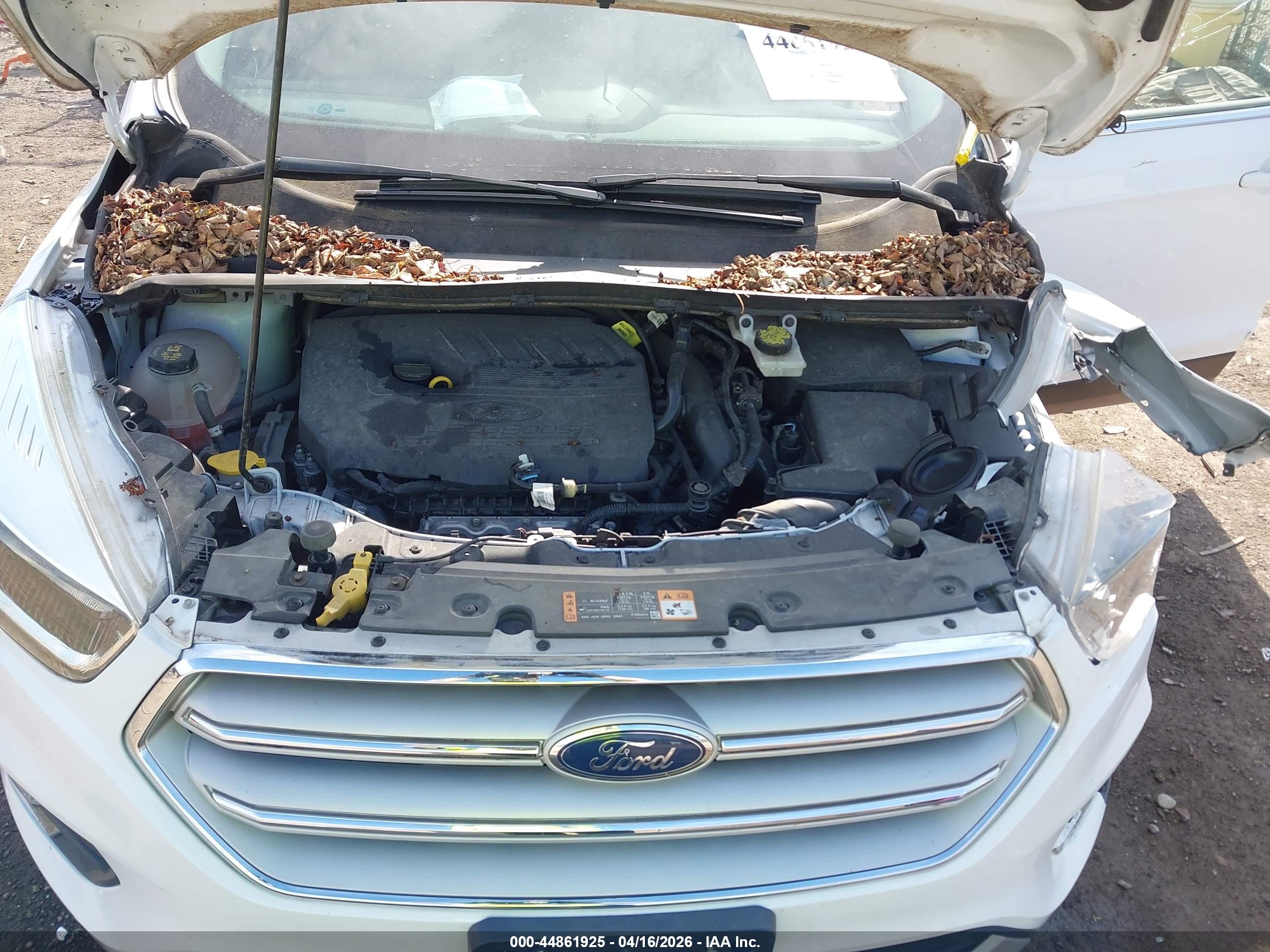 FORD ESCAPE image 10