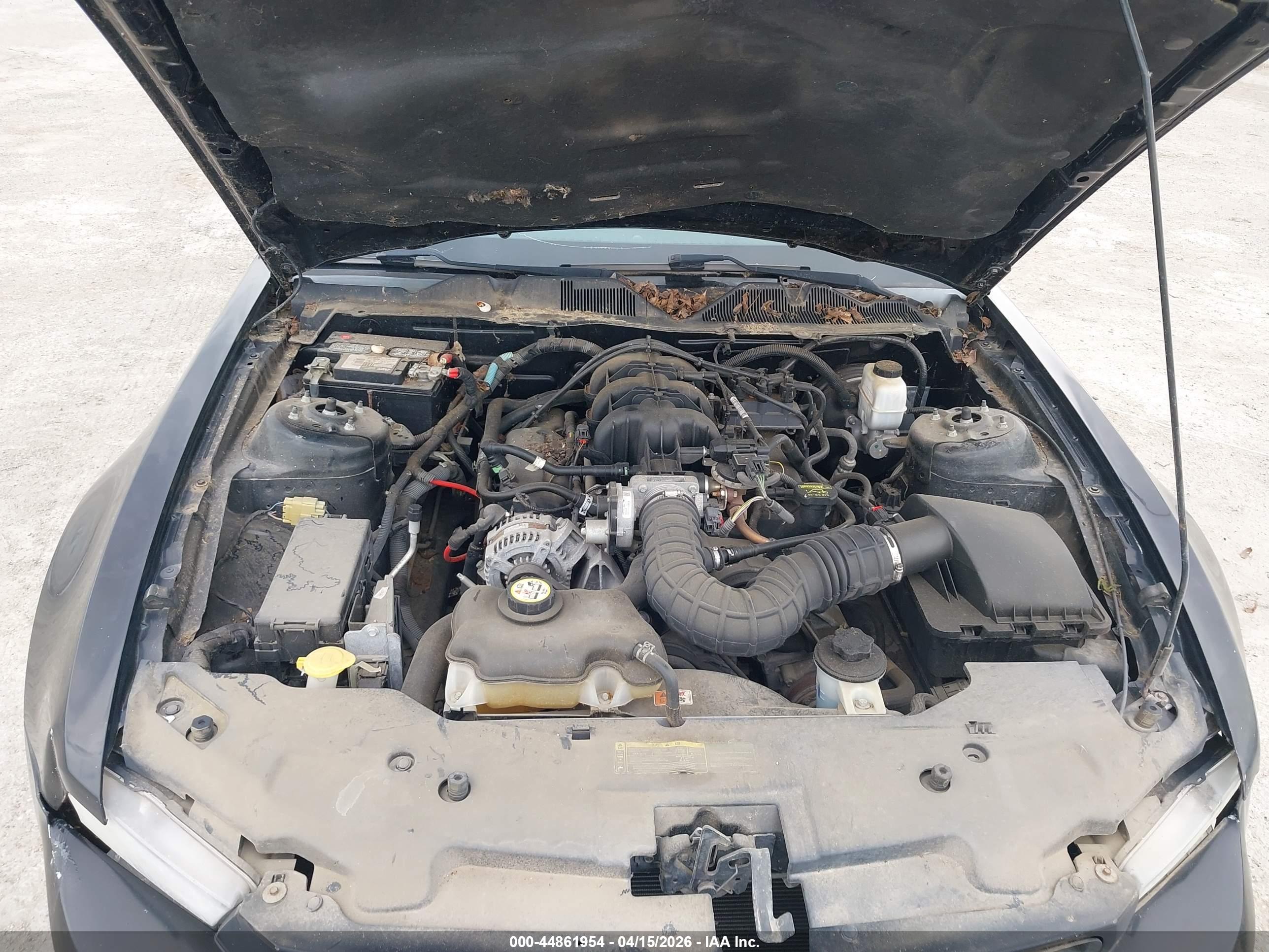 FORD MUSTANG image 10