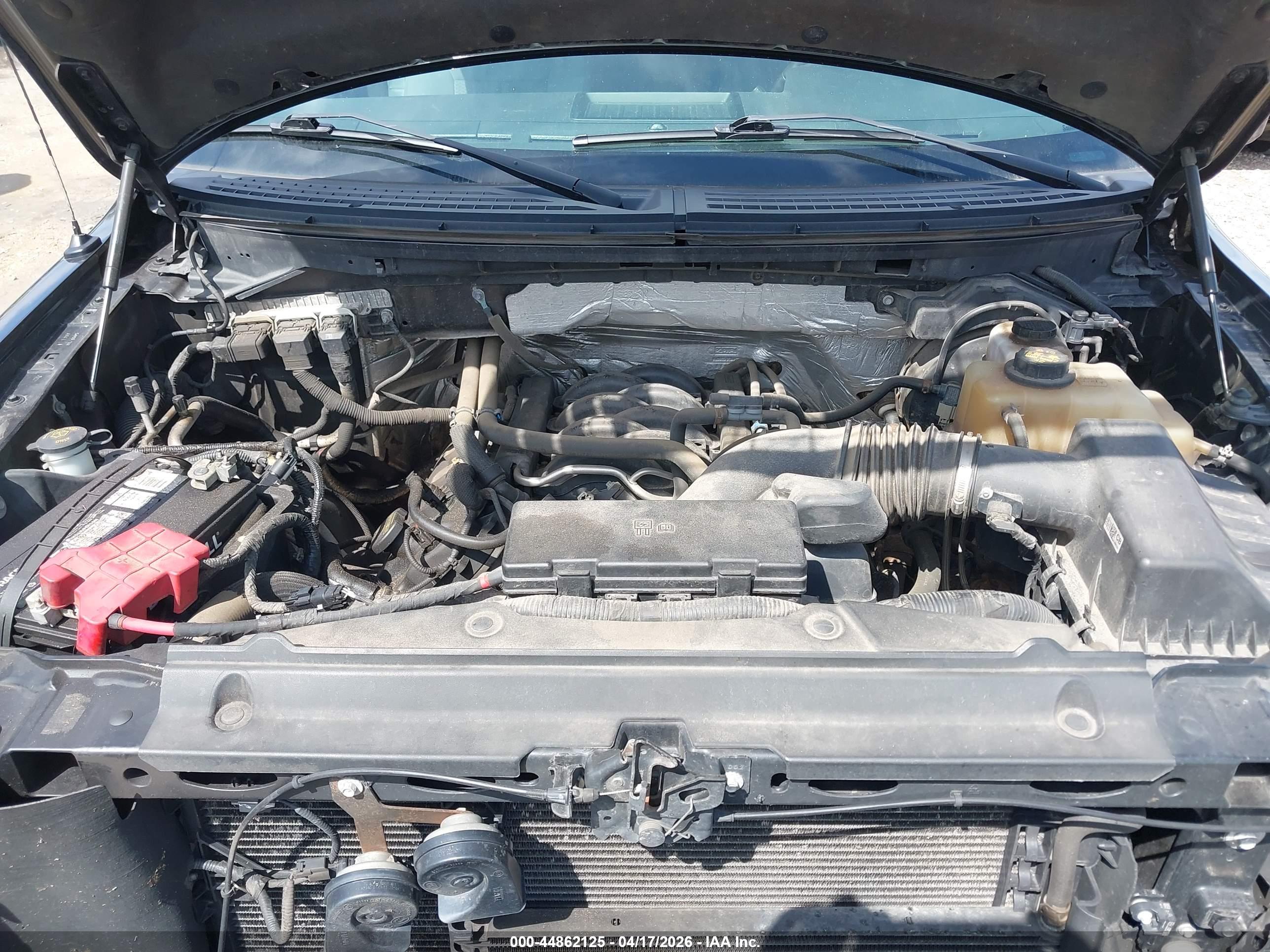 FORD F-150 image 10