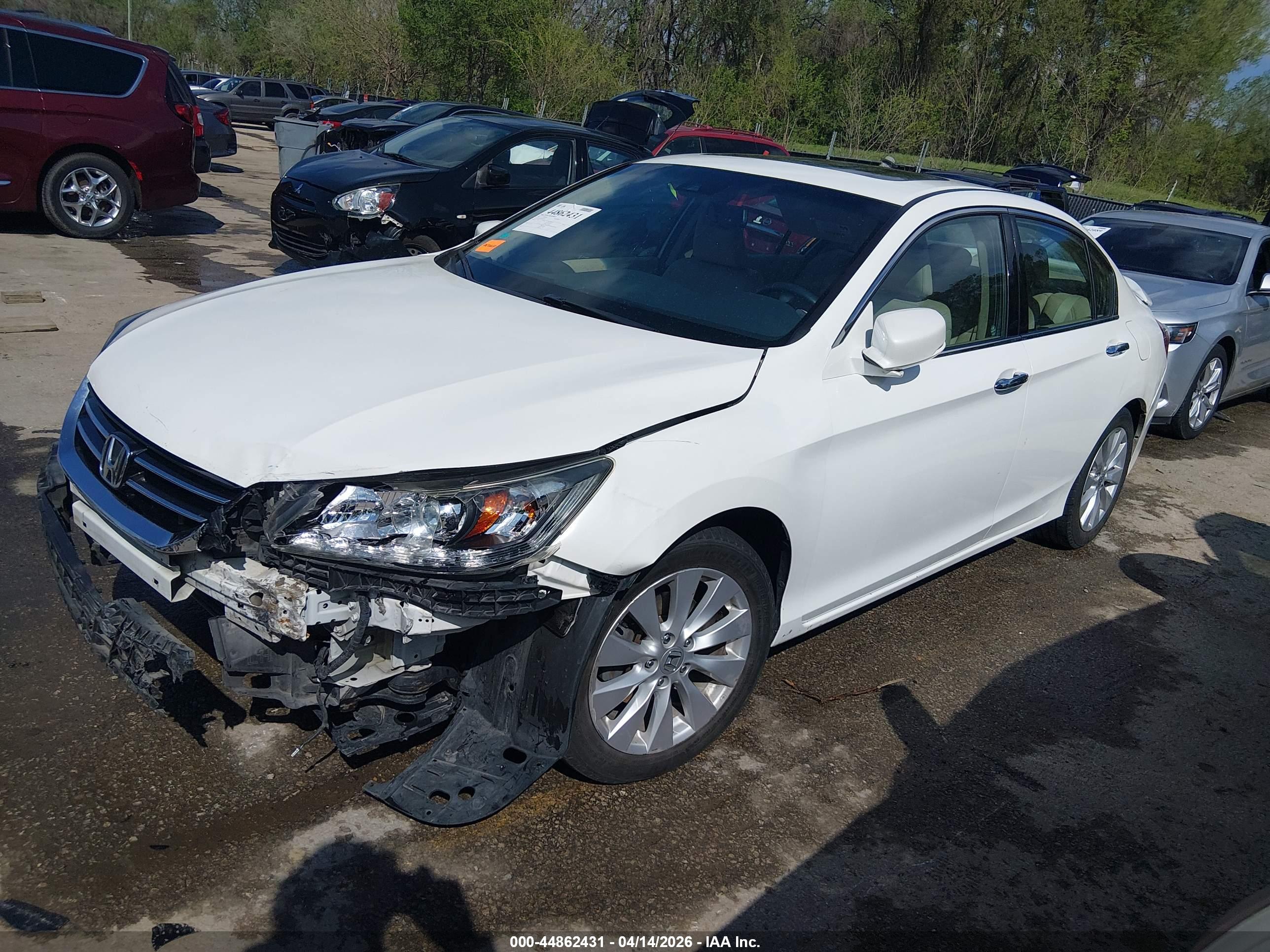 HONDA ACCORD image 2