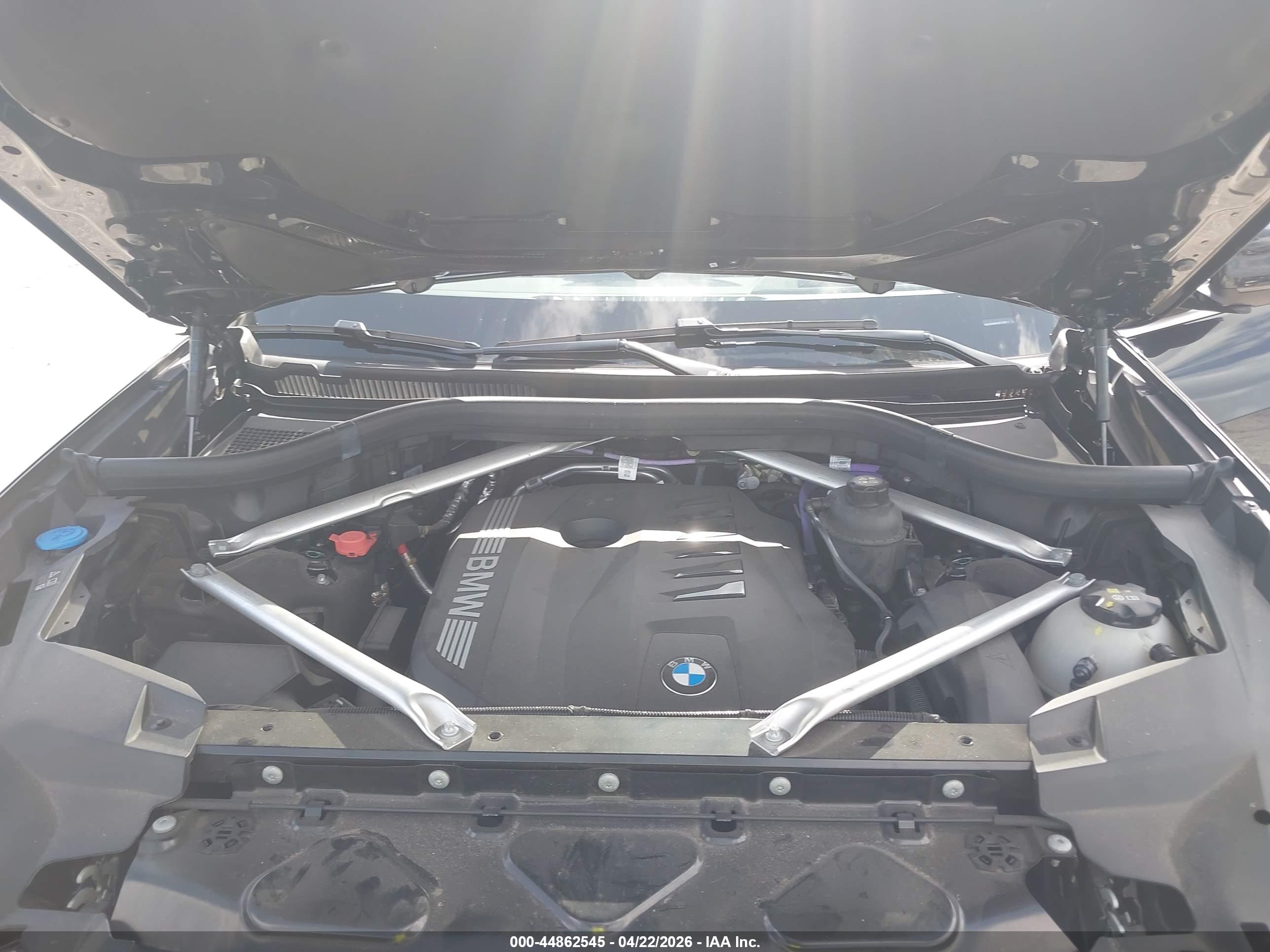 BMW X7 image 10