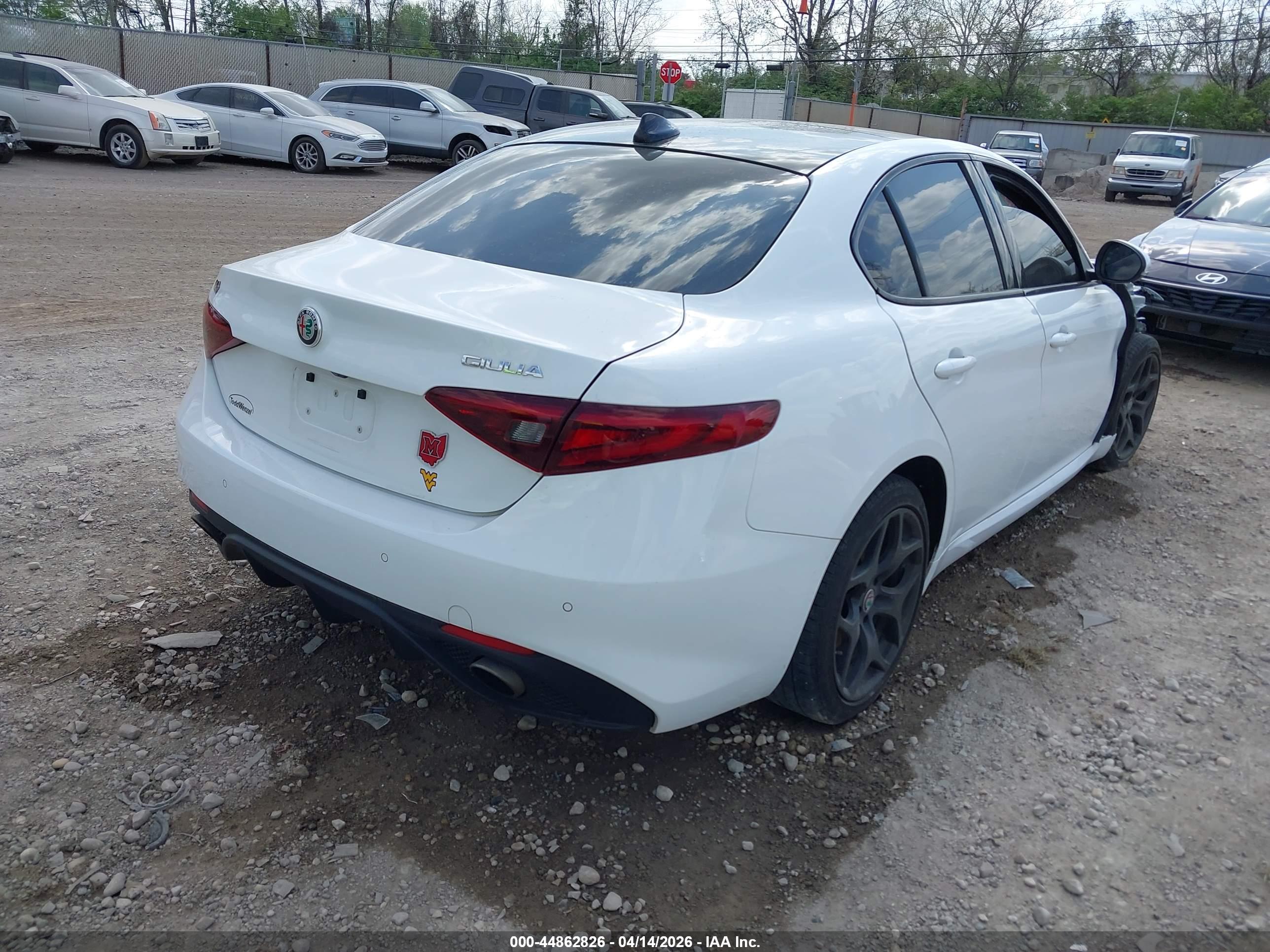 ALFA ROMEO image 4