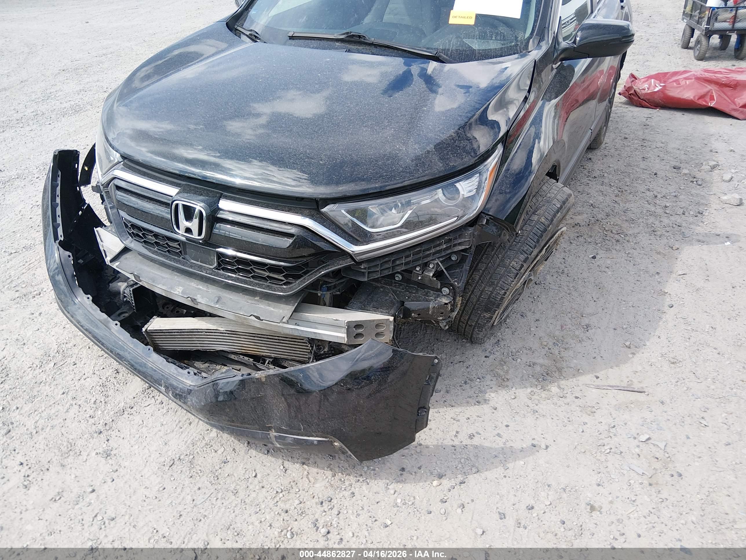 HONDA CR-V image 6