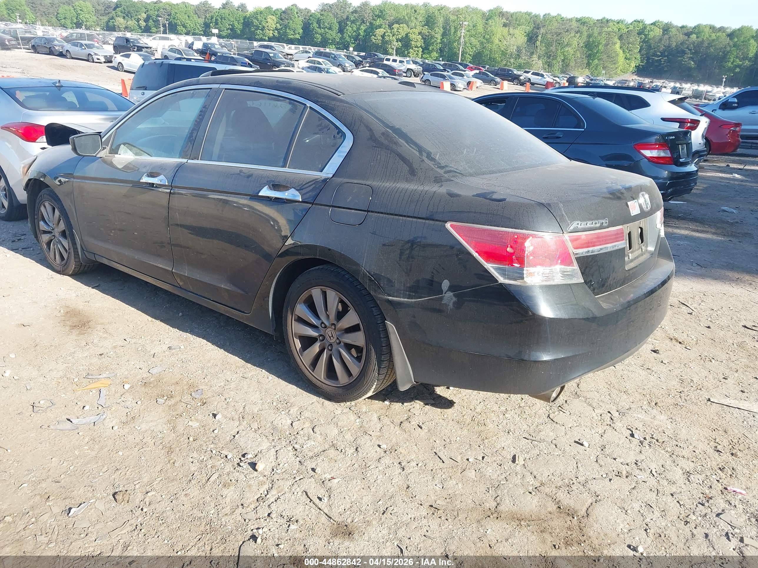 HONDA ACCORD image 3