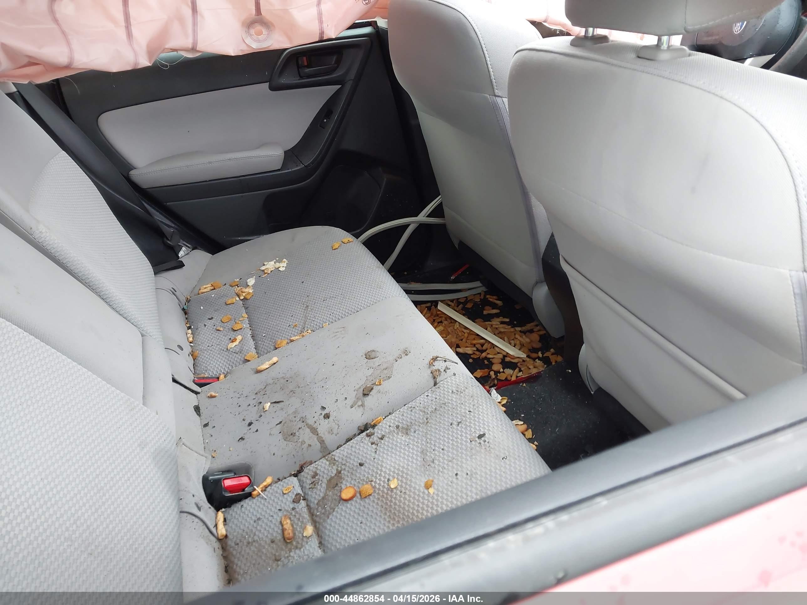 SUBARU FORESTER image 8