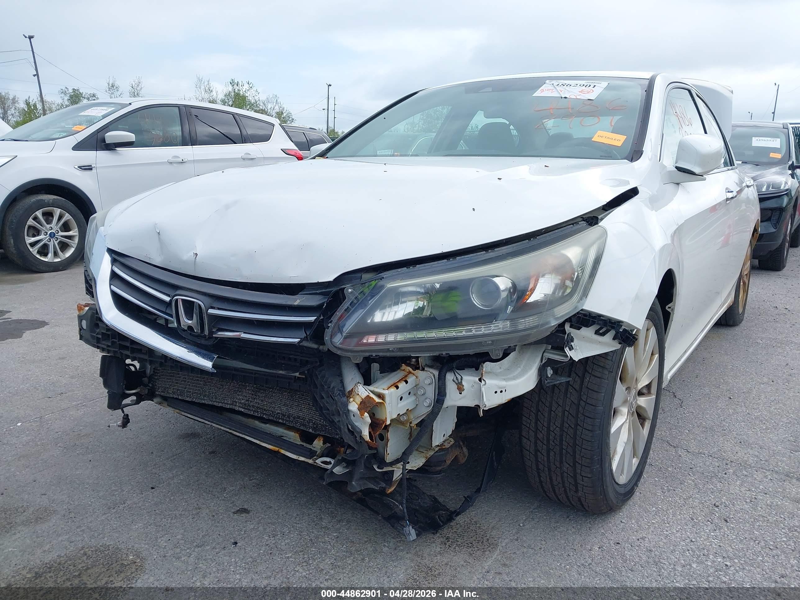 HONDA ACCORD image 6
